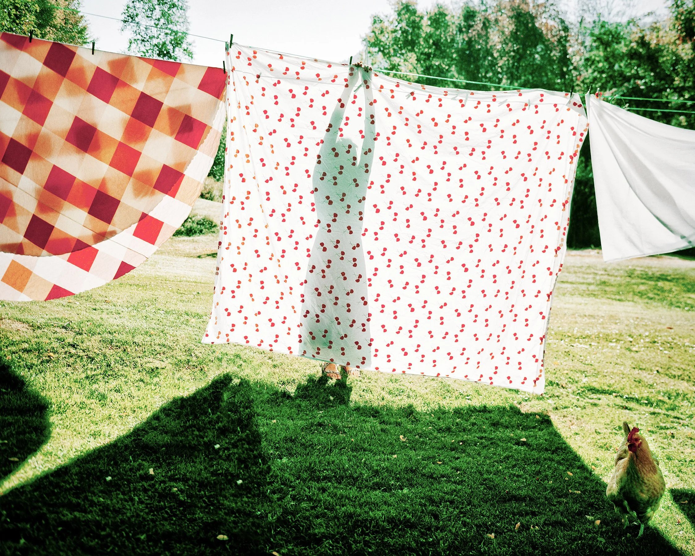 Cherries • 40" x 54" Pigment on Hand Made Amate Paper