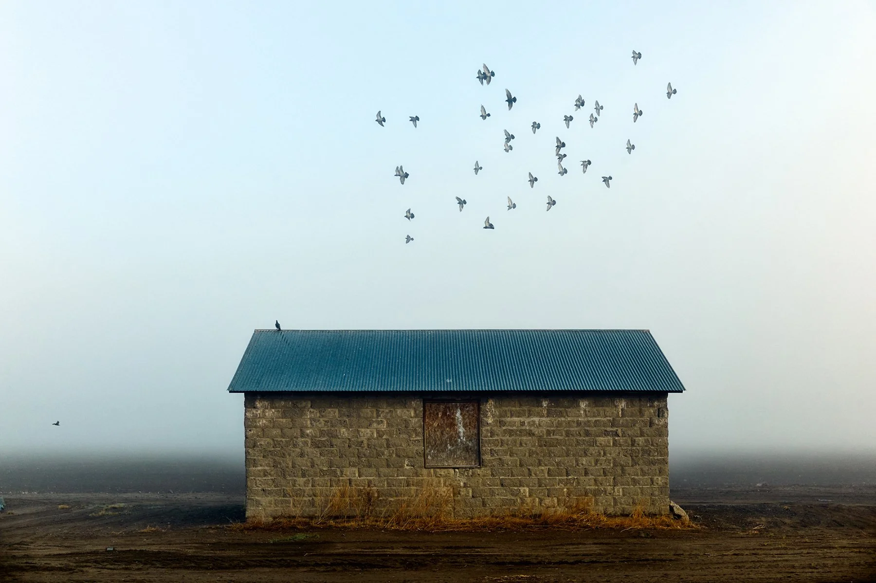 Birds • From the project What Remains, Americas Longest Road • 20" x 30" Pigment on paper