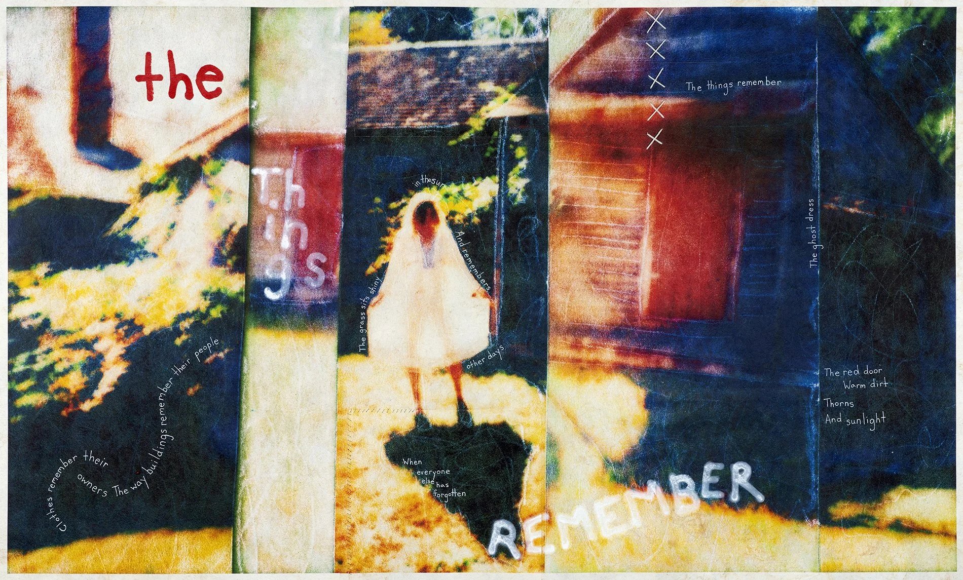 Tis artowrk was made in Wellfleet, MA in the late fall using a Polaroid i2 Camera and a Polaroid SX-70 Instant Camera. Final print is on hand made Amate paper from Mexico.