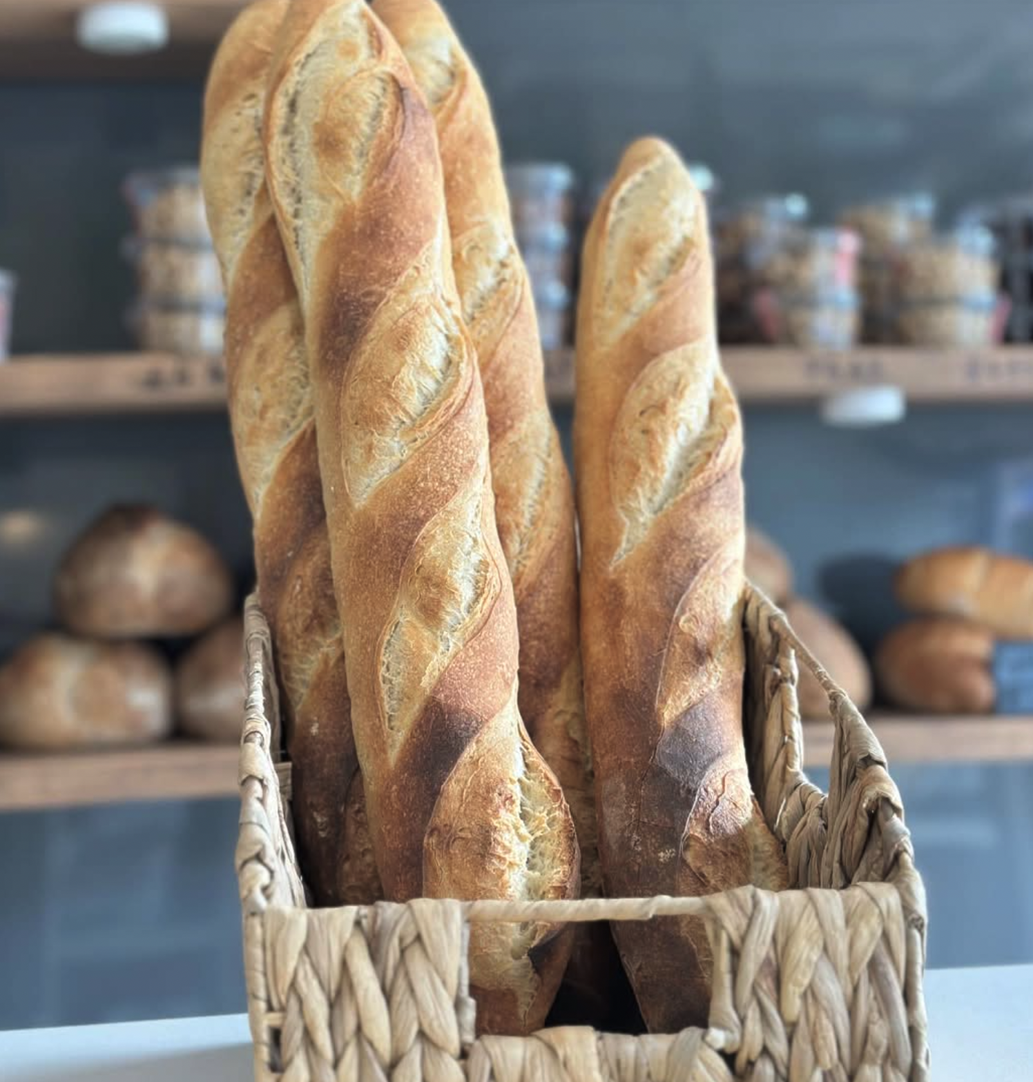 Three baguettes in a woven basket, on a counter in a bakery.