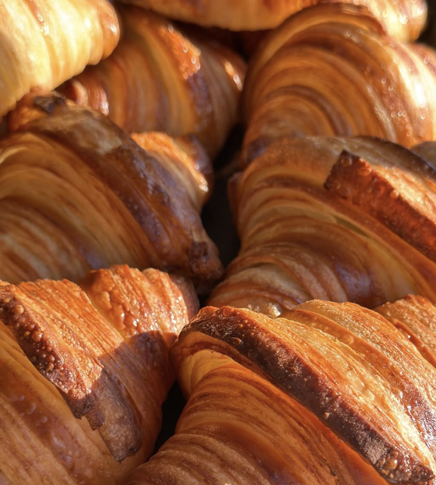 Close-up view of golden-brown croissants with flaky, layered texture and shiny, crispy crust.