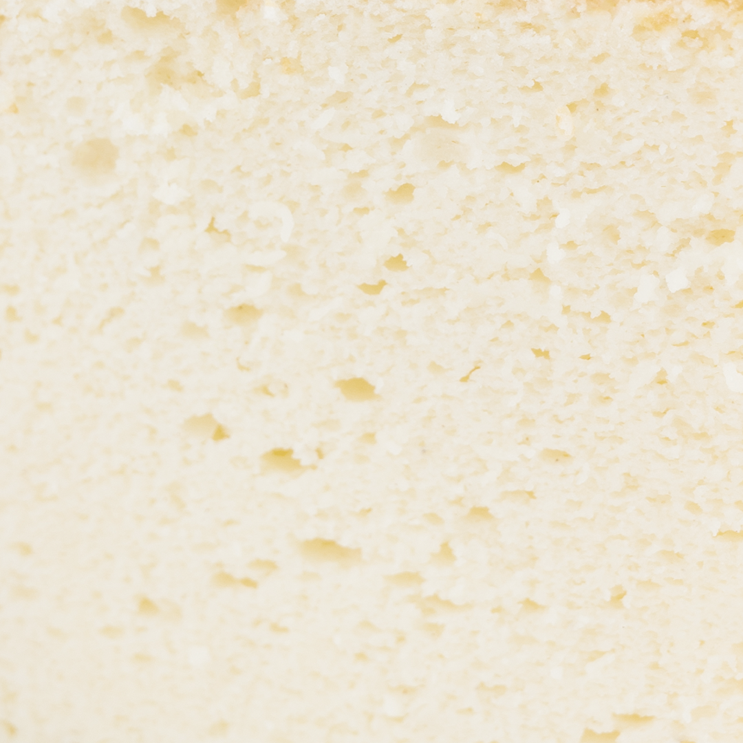 light sponge.png