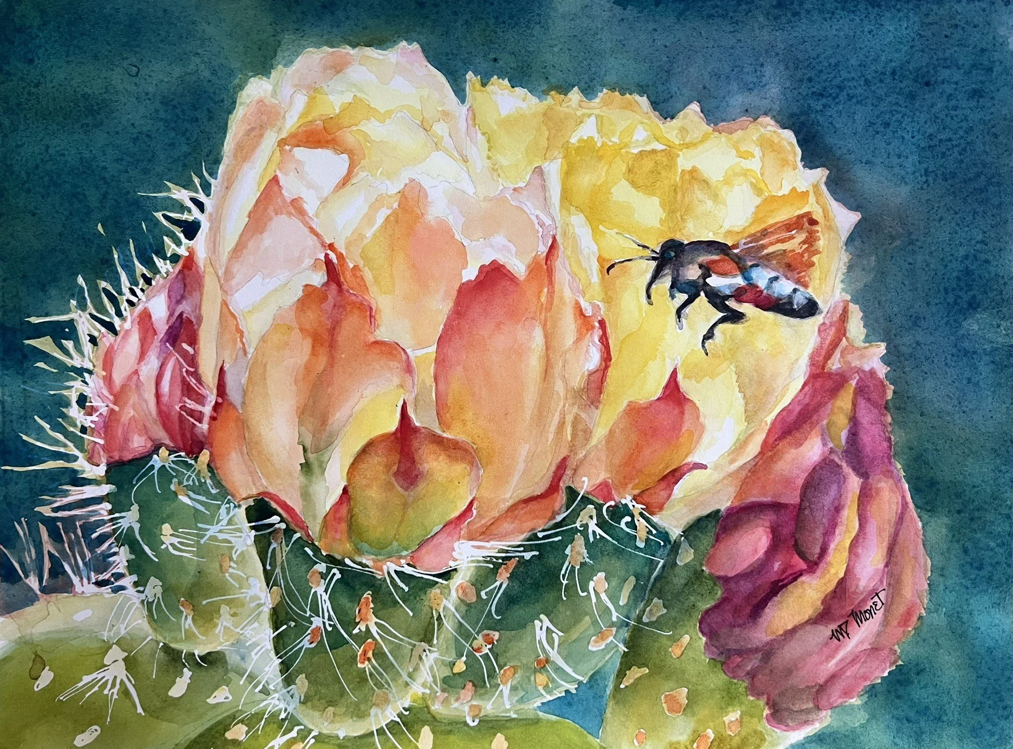 Buzzed $150 
Watercolor 9"x11" Framed
(Phoenix backyard bee on prickly pear flowers)