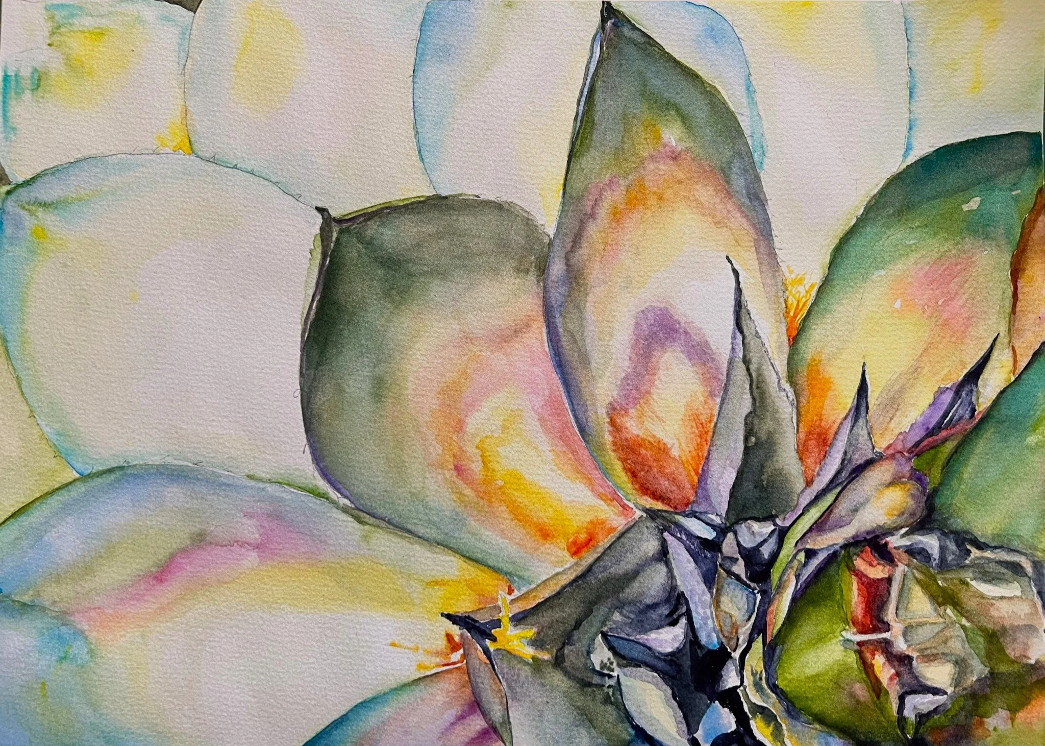 Aging Agave $150
Watercolor Framed 11"x14"
(Phoenix agave from Botanical Gardens)