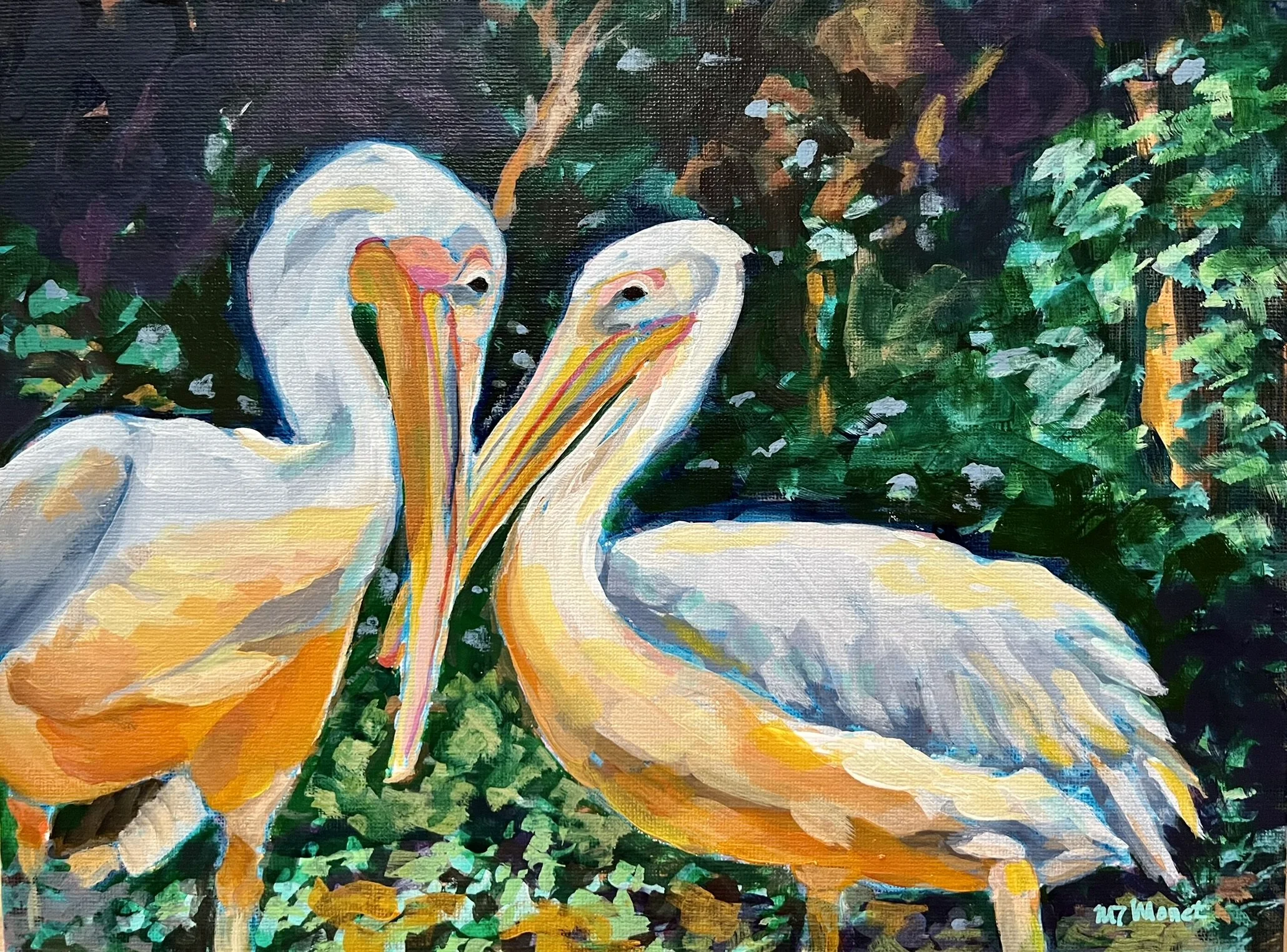 Pelican Persuasion