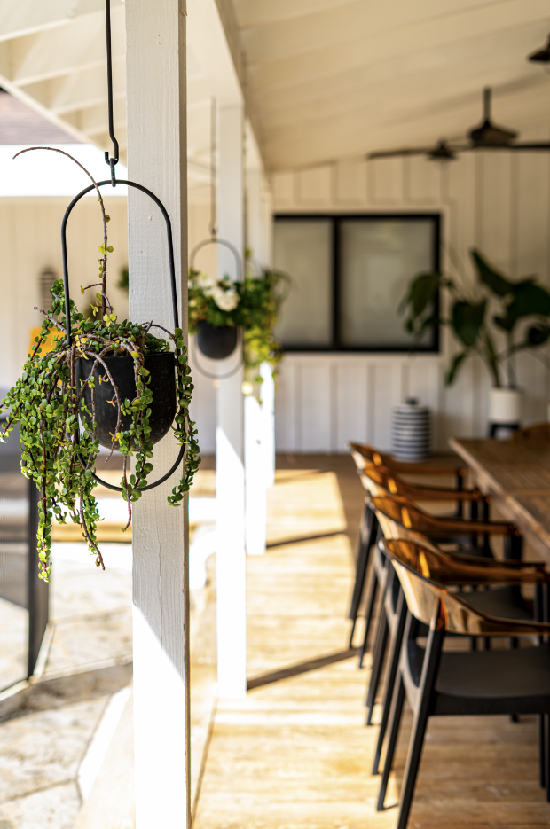 Indoor dining area with hanging potted plants, wooden chairs, and a wooden table in a bright space with white panel walls and large windows.