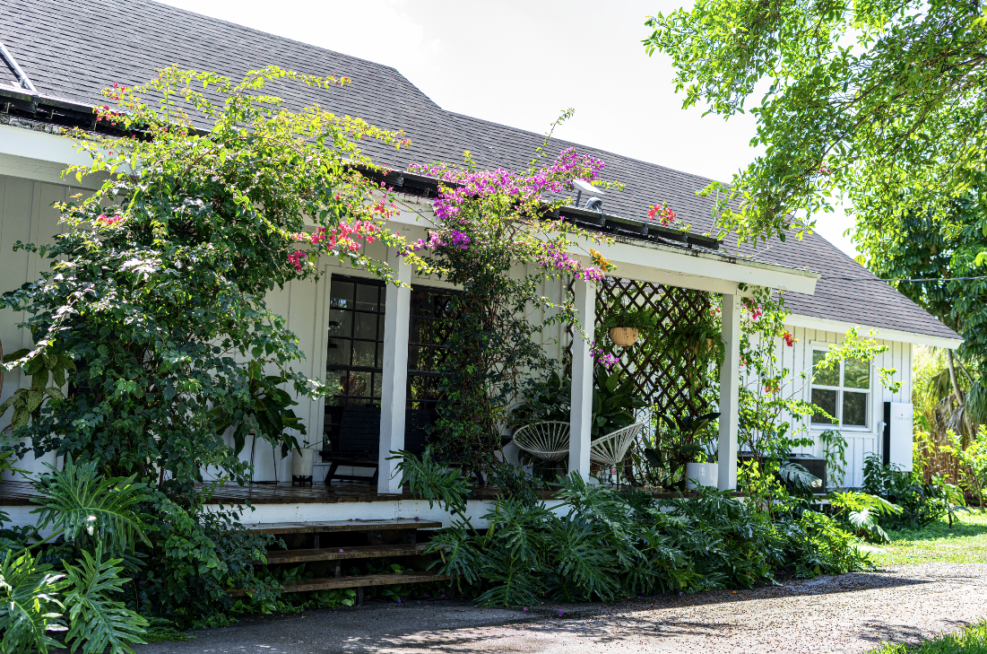 A house with a front porch surrounded by lush green plants and flowering bushes, sunlight illuminating the scene.