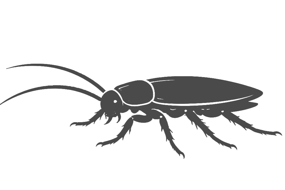 General Pest Control