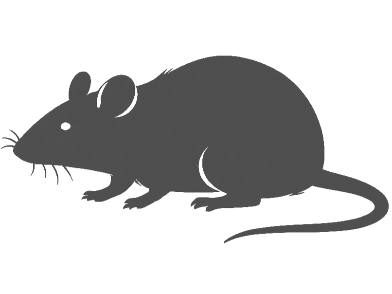Rodent Control & Monitoring
