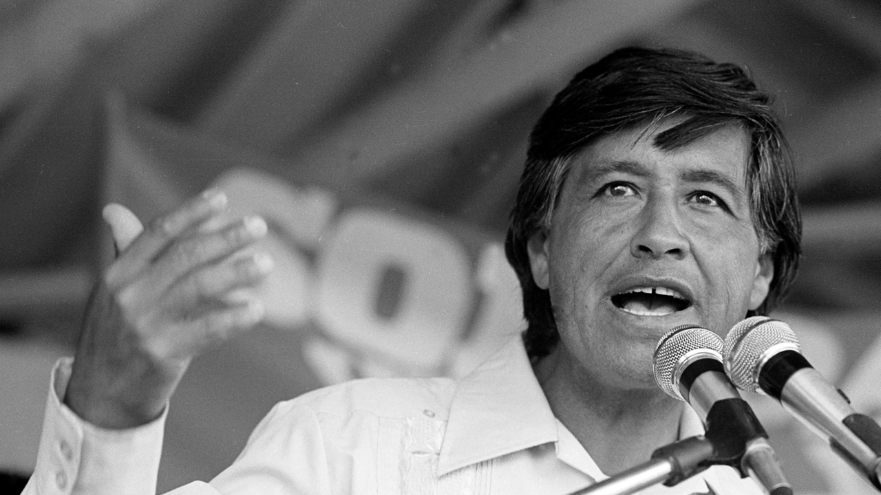 Biography of Cesar Chavez and Activities (Best for Grades 9 - 12)