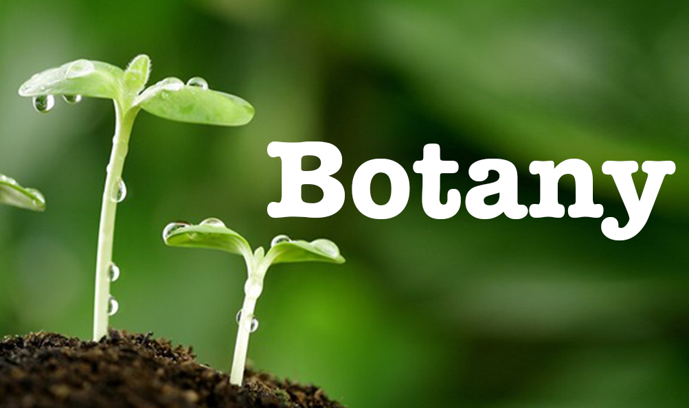 Botany.png