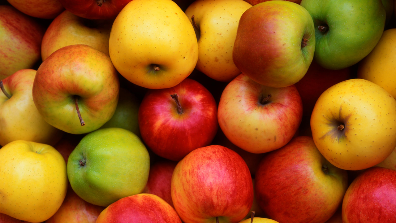 Apples: Informational Text (Grades 6 - 8)