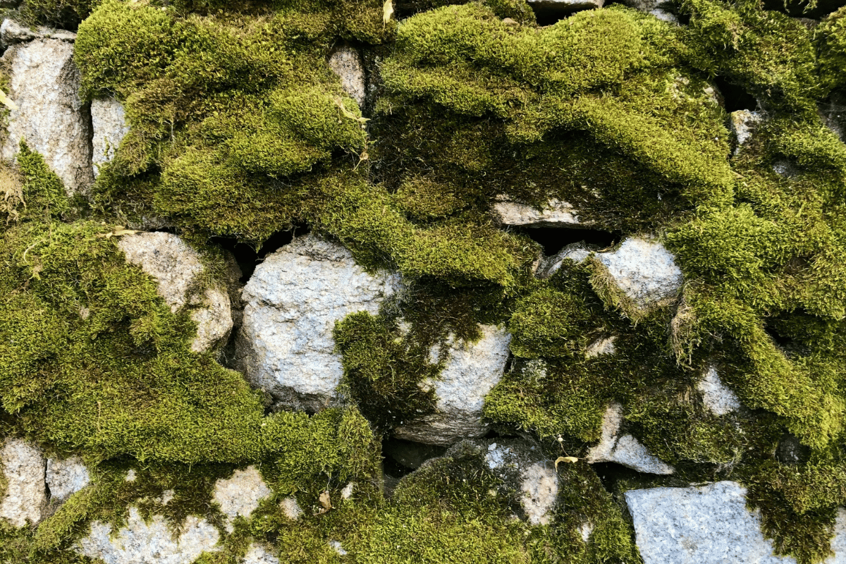 The Day I Stopped Waiting to Feel Better and Started Learning to Listen