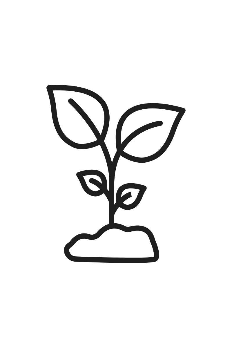 plant icon