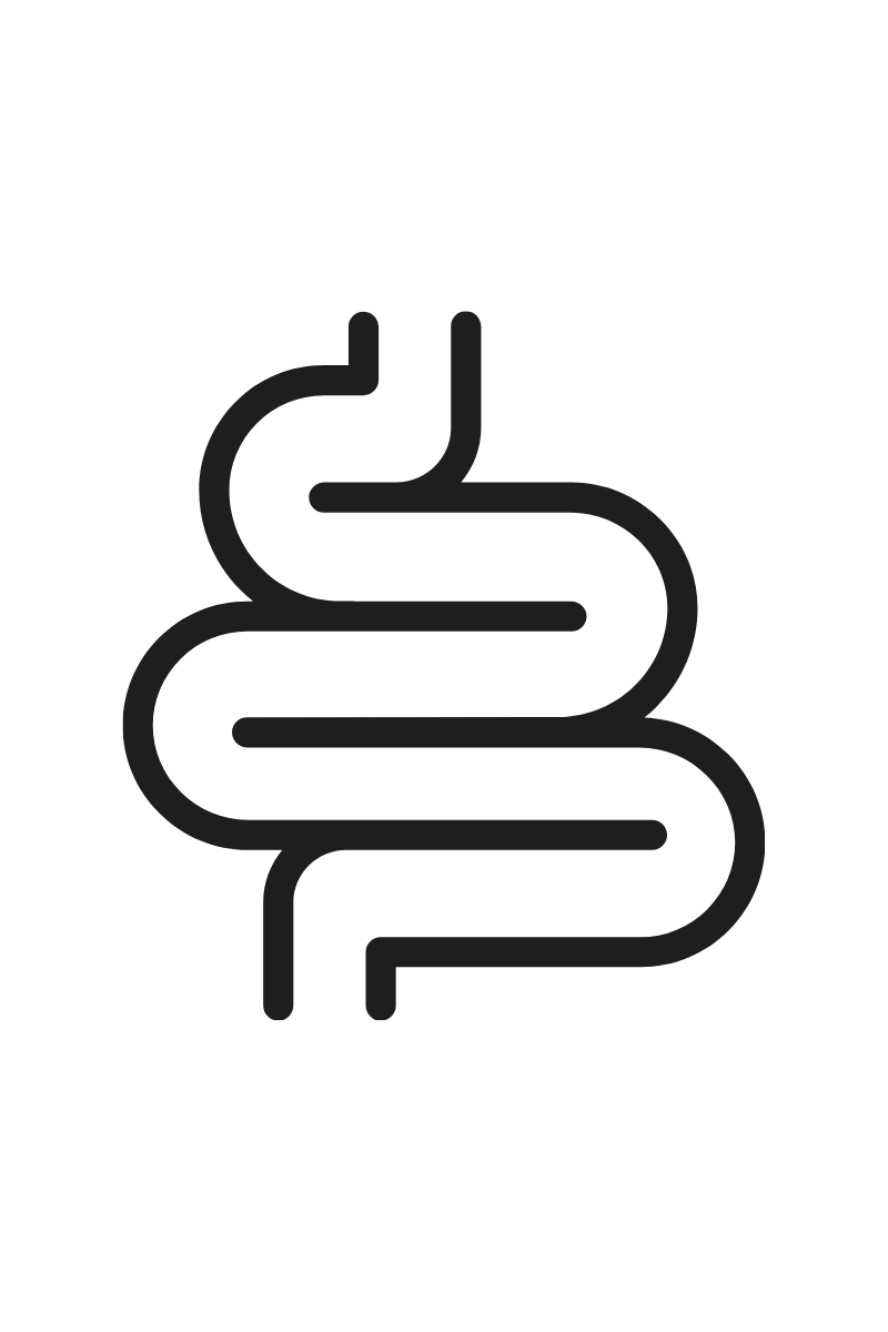gut icon to represent gut health issues