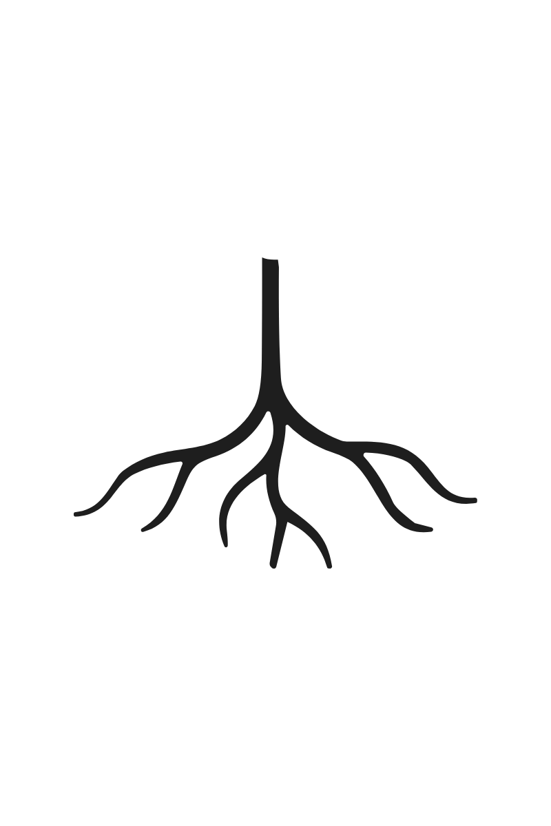 roots icon
