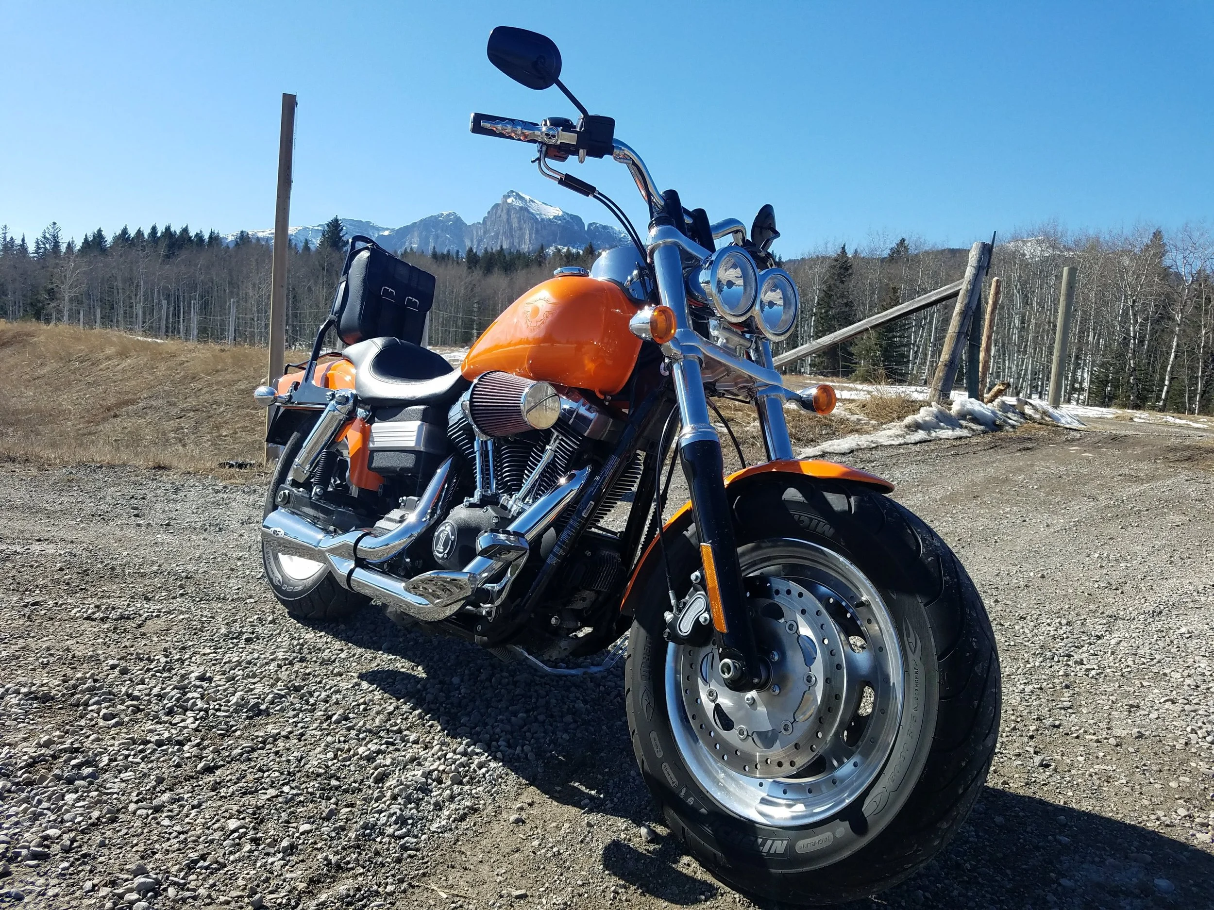 The FatBob Project