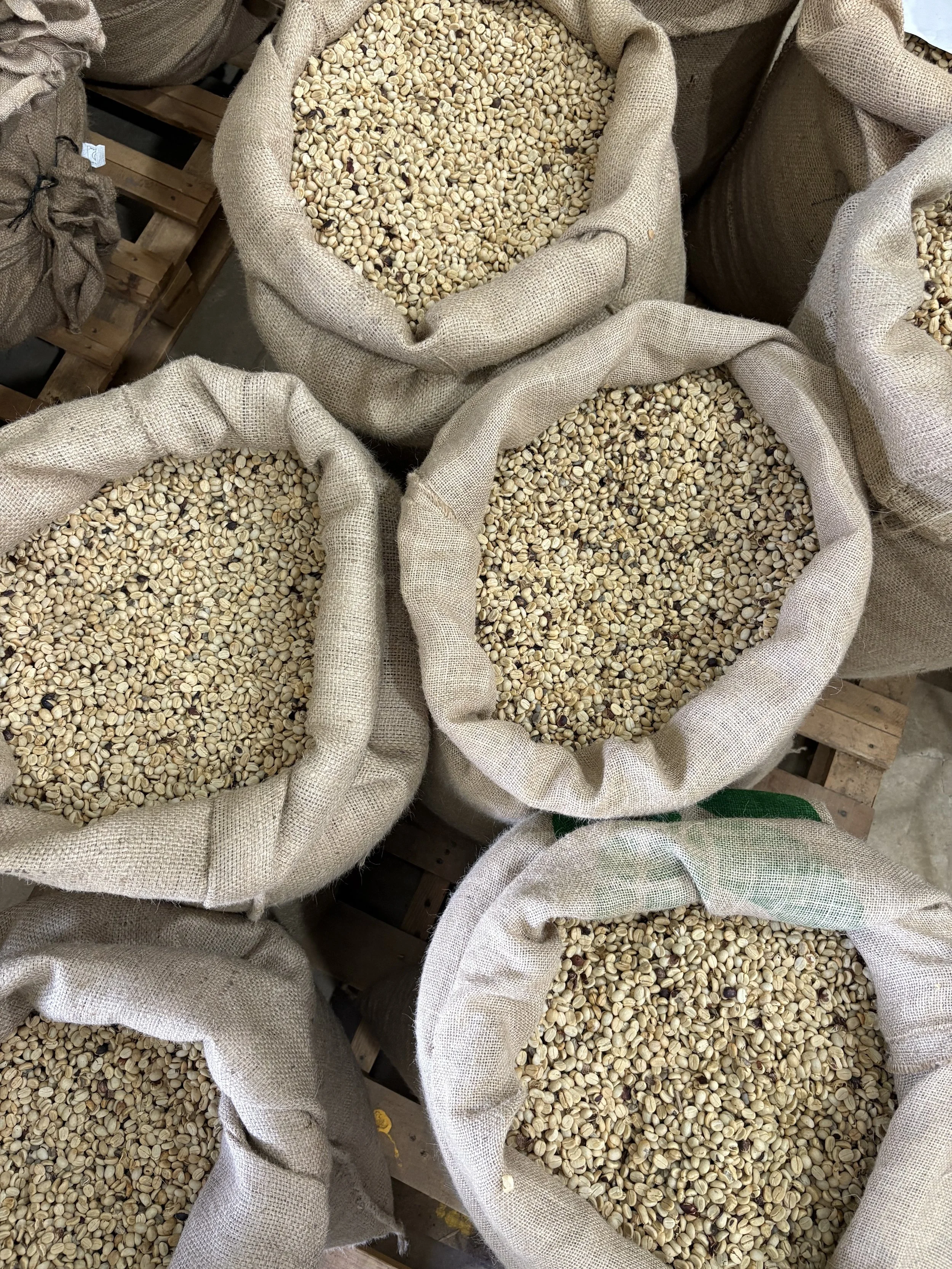 processed coffee sacks