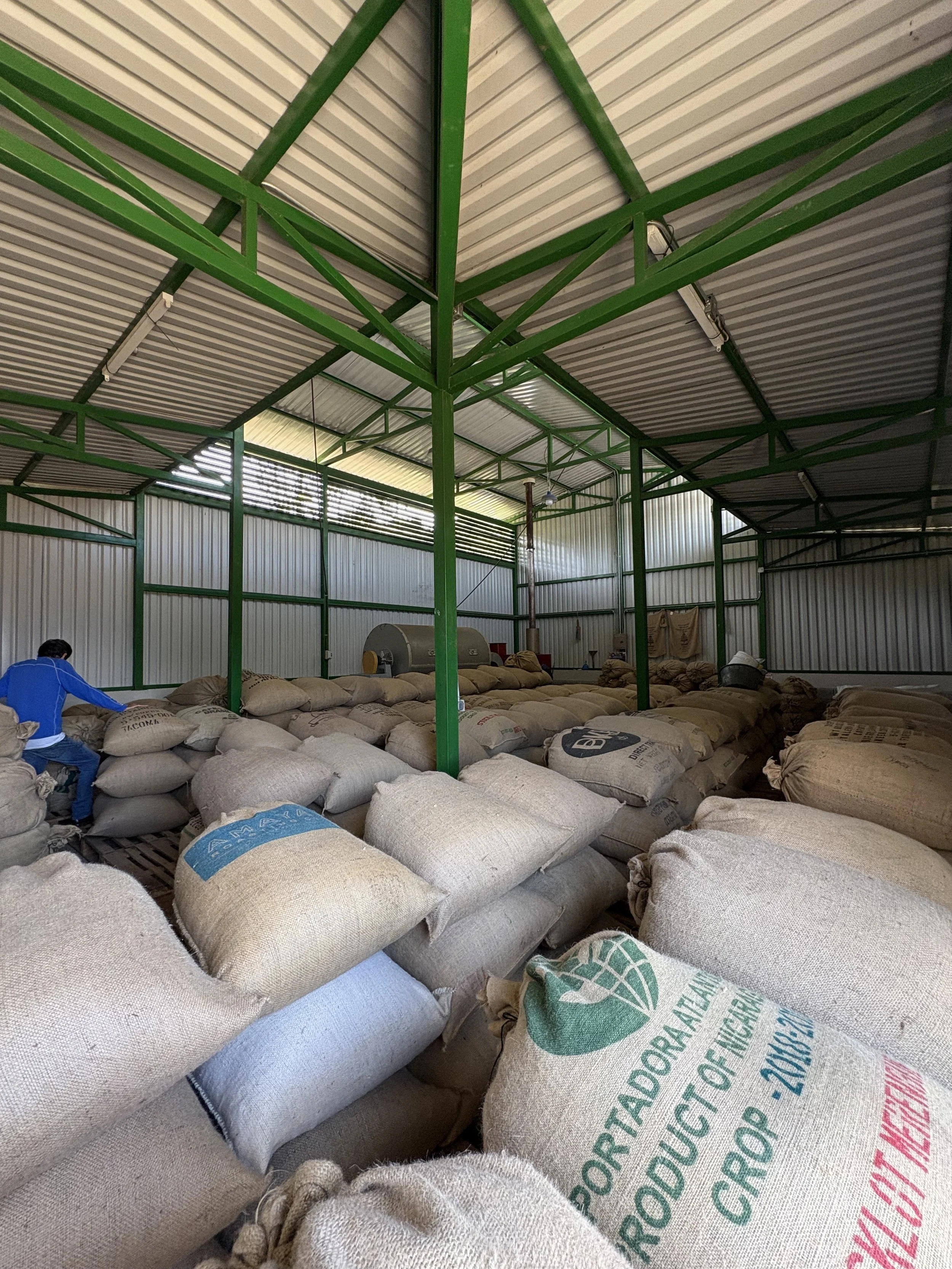 Coffee sacks ready for deliver