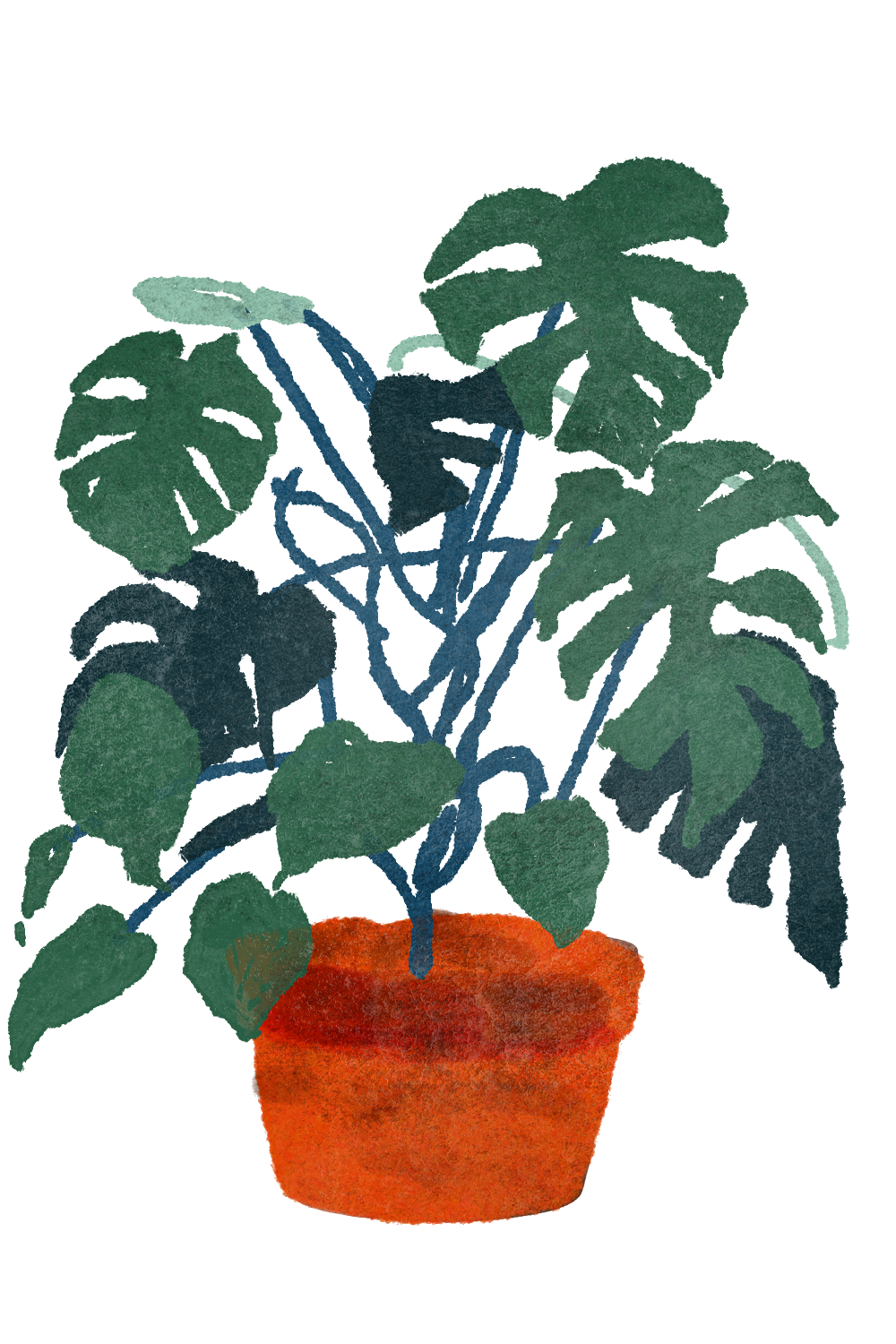 A potted plant with green leaves and blue stems in a red-orange pot.