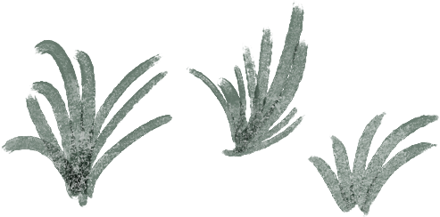 Three patches of grass against a black background.