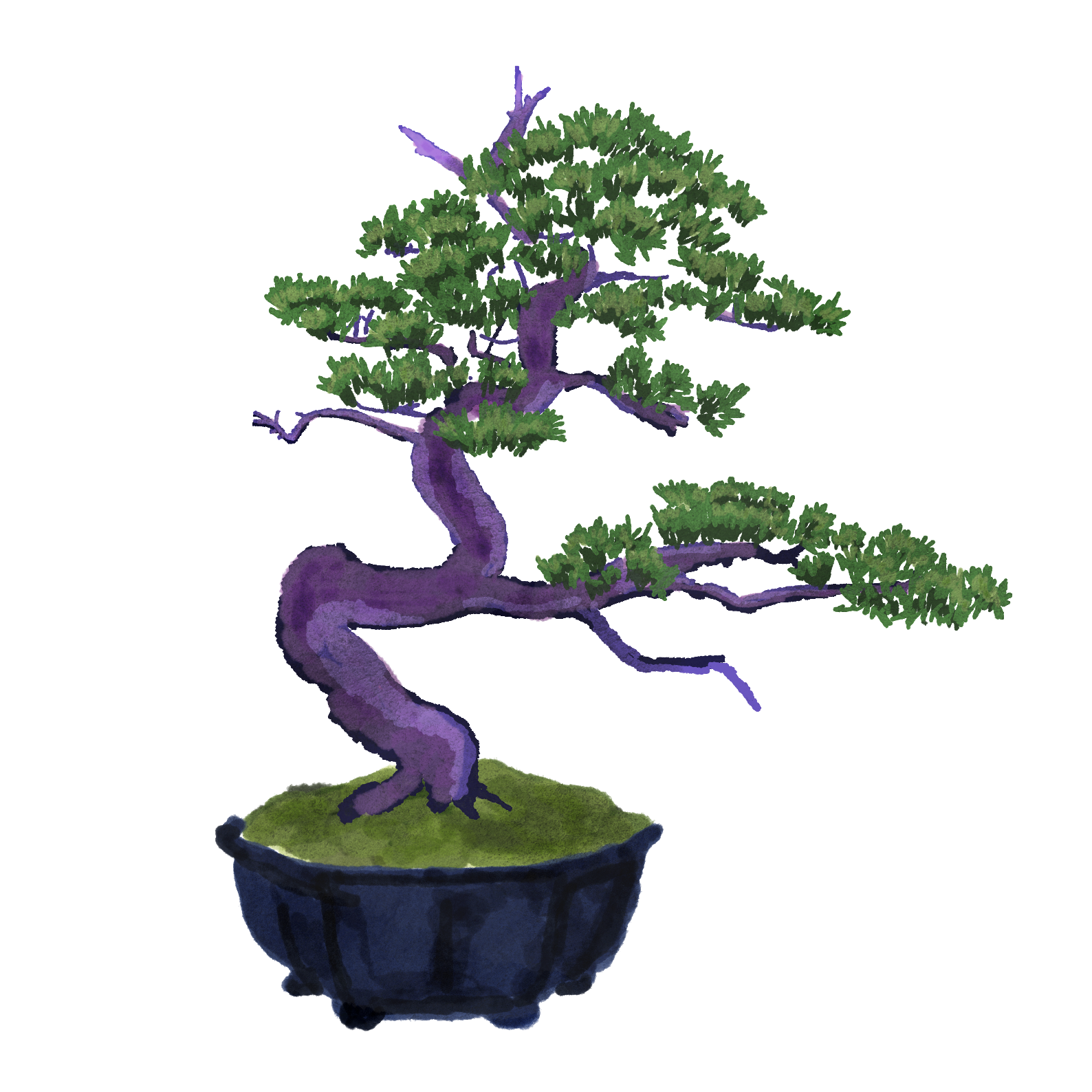 A detailed model of a bonsai tree with a twisted trunk in a dark blue pot, displayed on a green base. The tree has lush green foliage arranged in tiered layers.