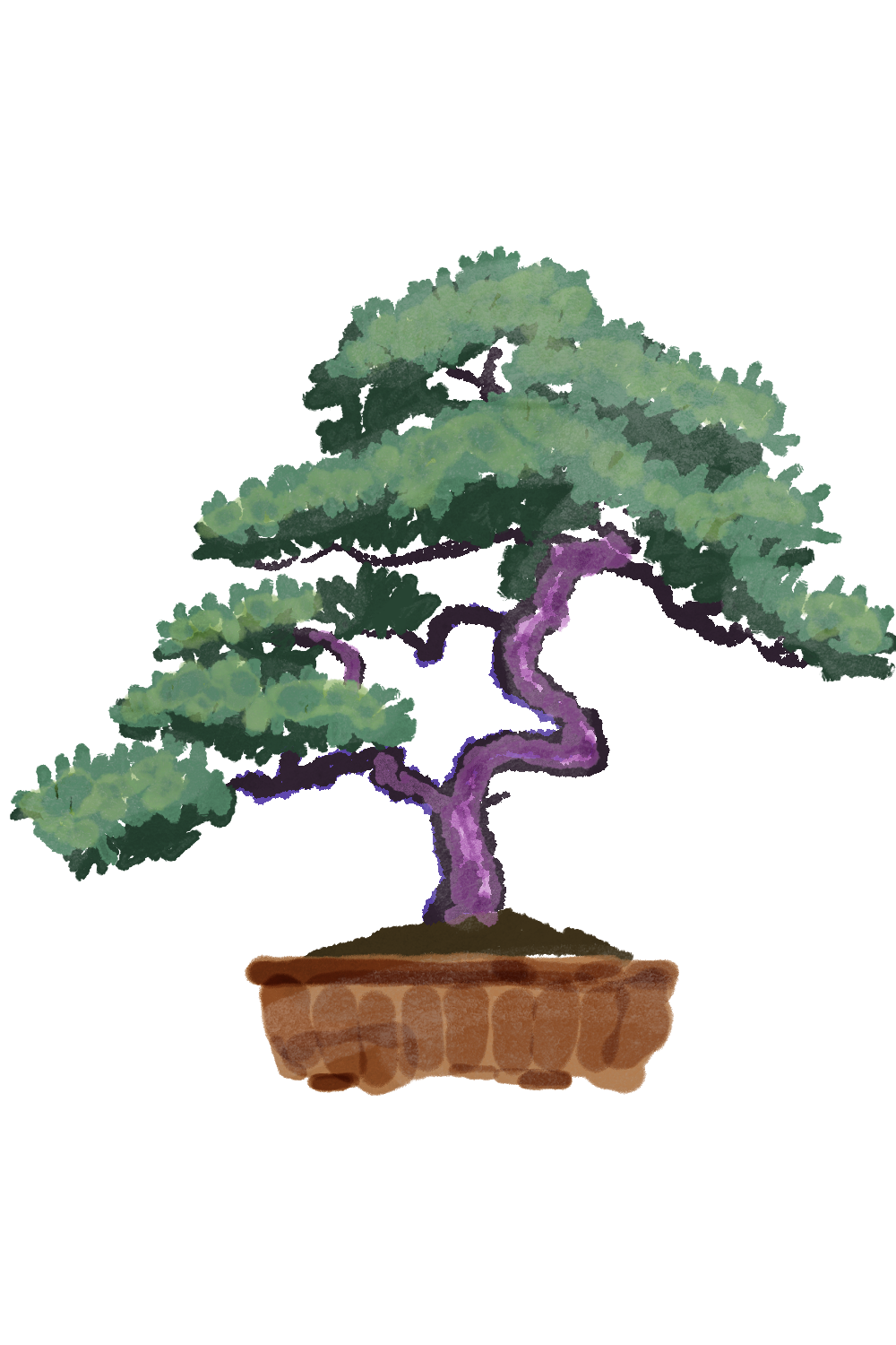 A stylized illustration of a bonsai tree with a twisted purple trunk and green foliage, planted in a brown pot.
