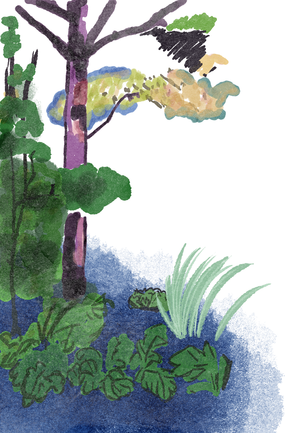 A watercolor painting of a peaceful pond scene with trees and green foliage surrounding the water, a duck swimming, and various plants along the water's edge.
