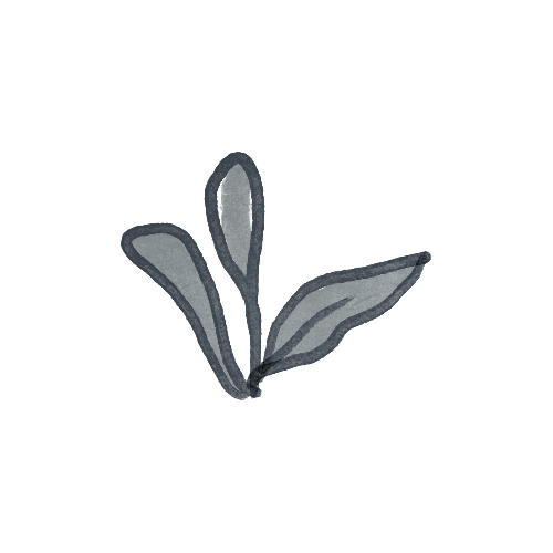 A simple, stylized drawing of three gray leaves on a white background.
