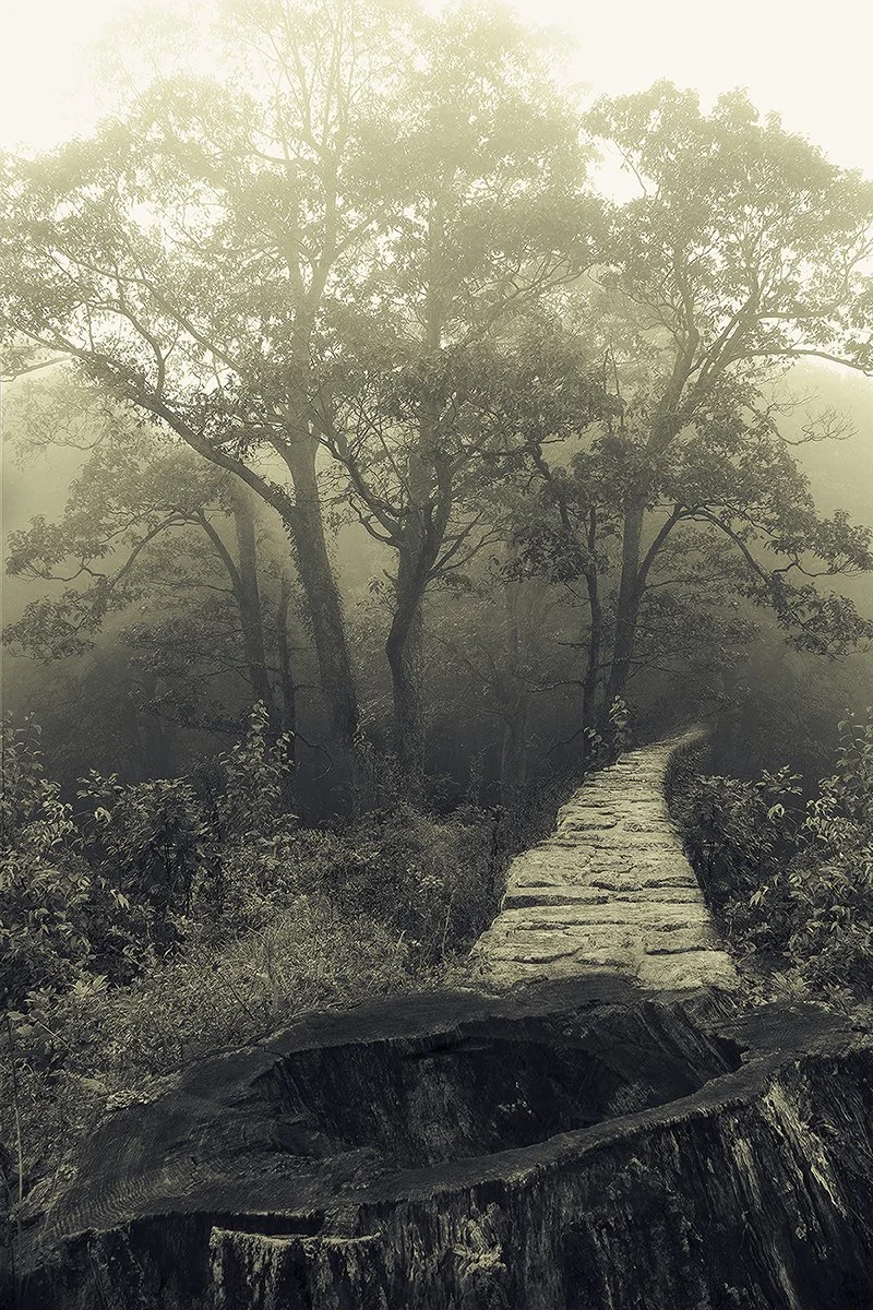 Where Fairies Dance