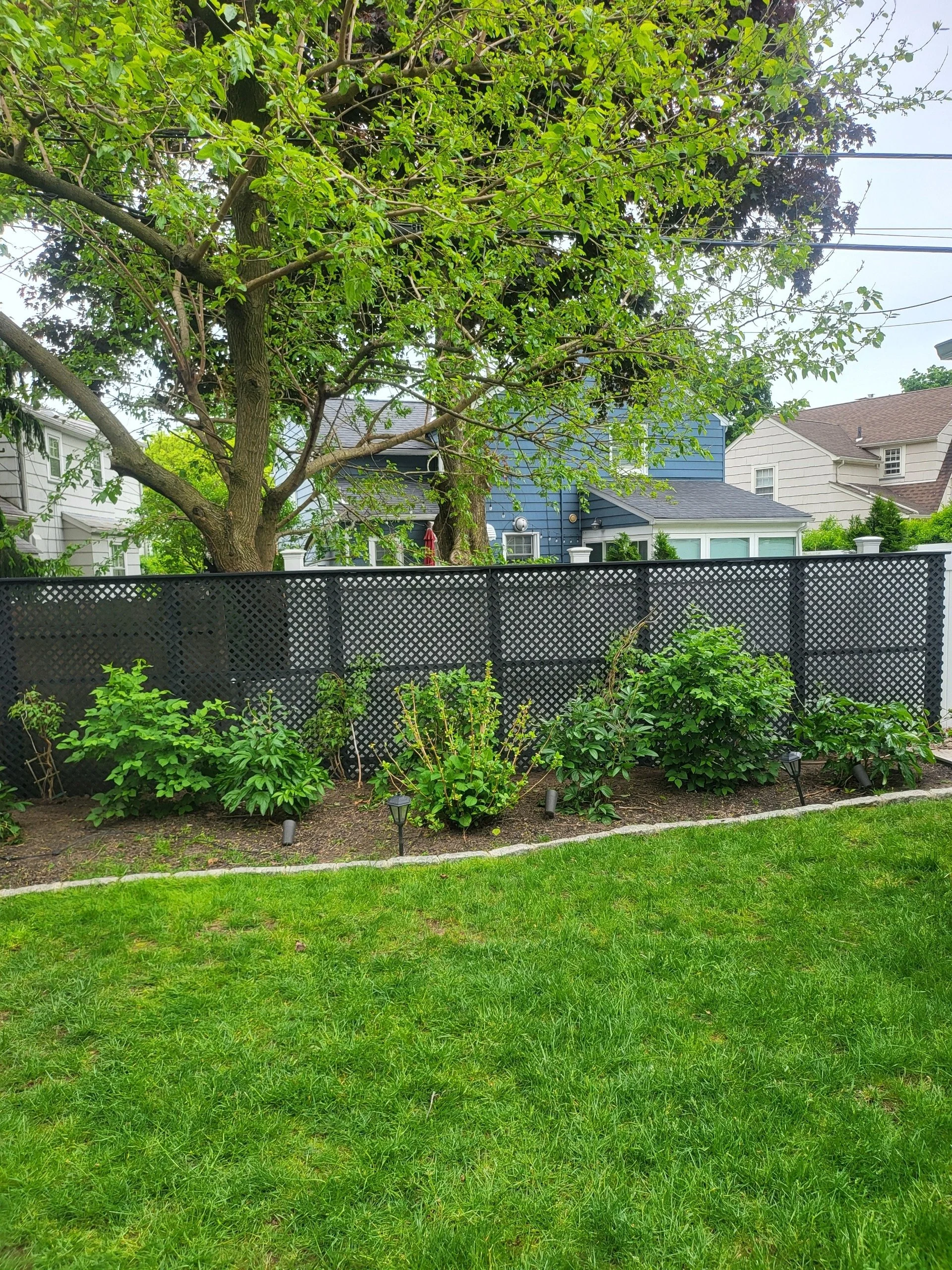 Resized_20260511_122145.jpeg