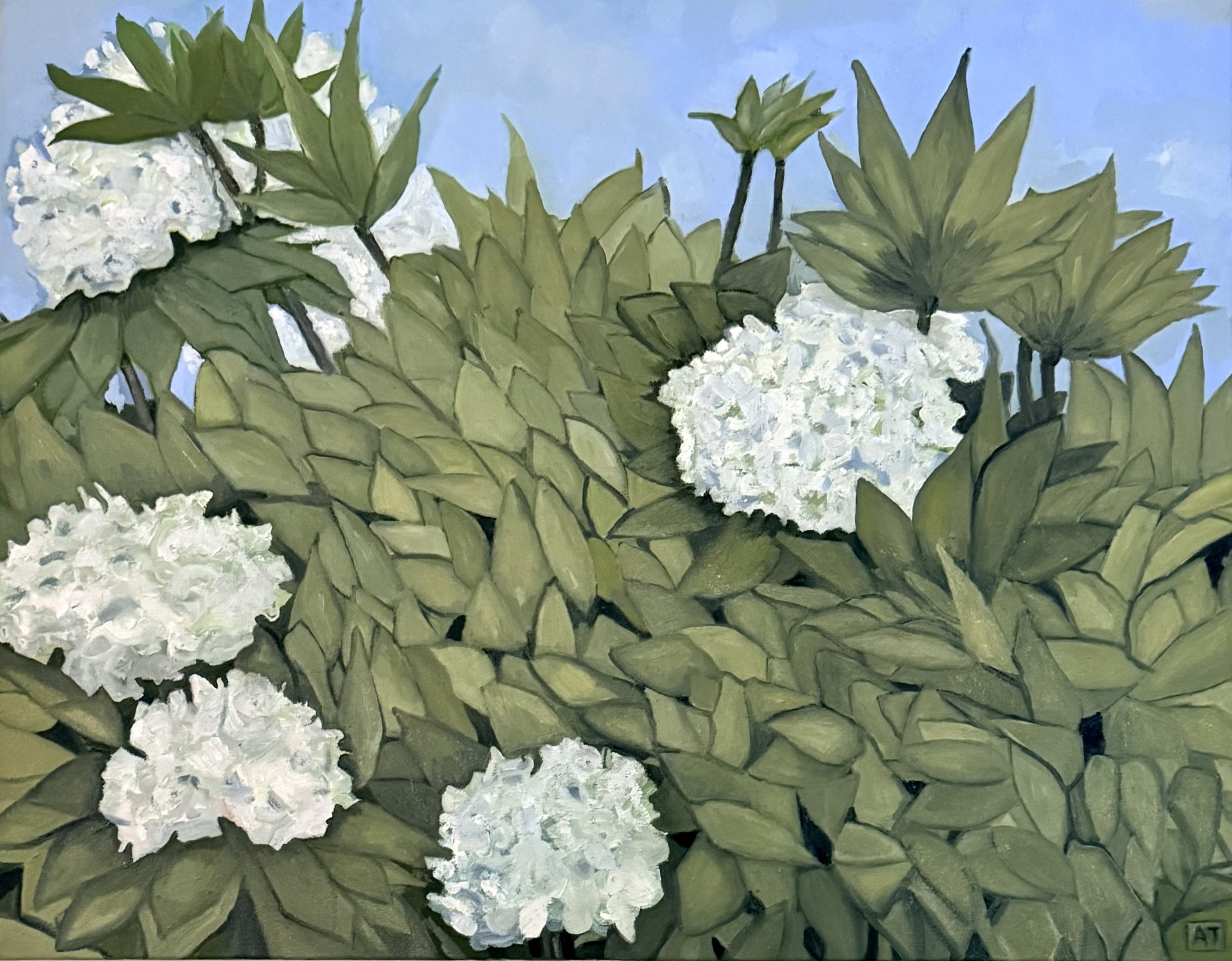 June Light