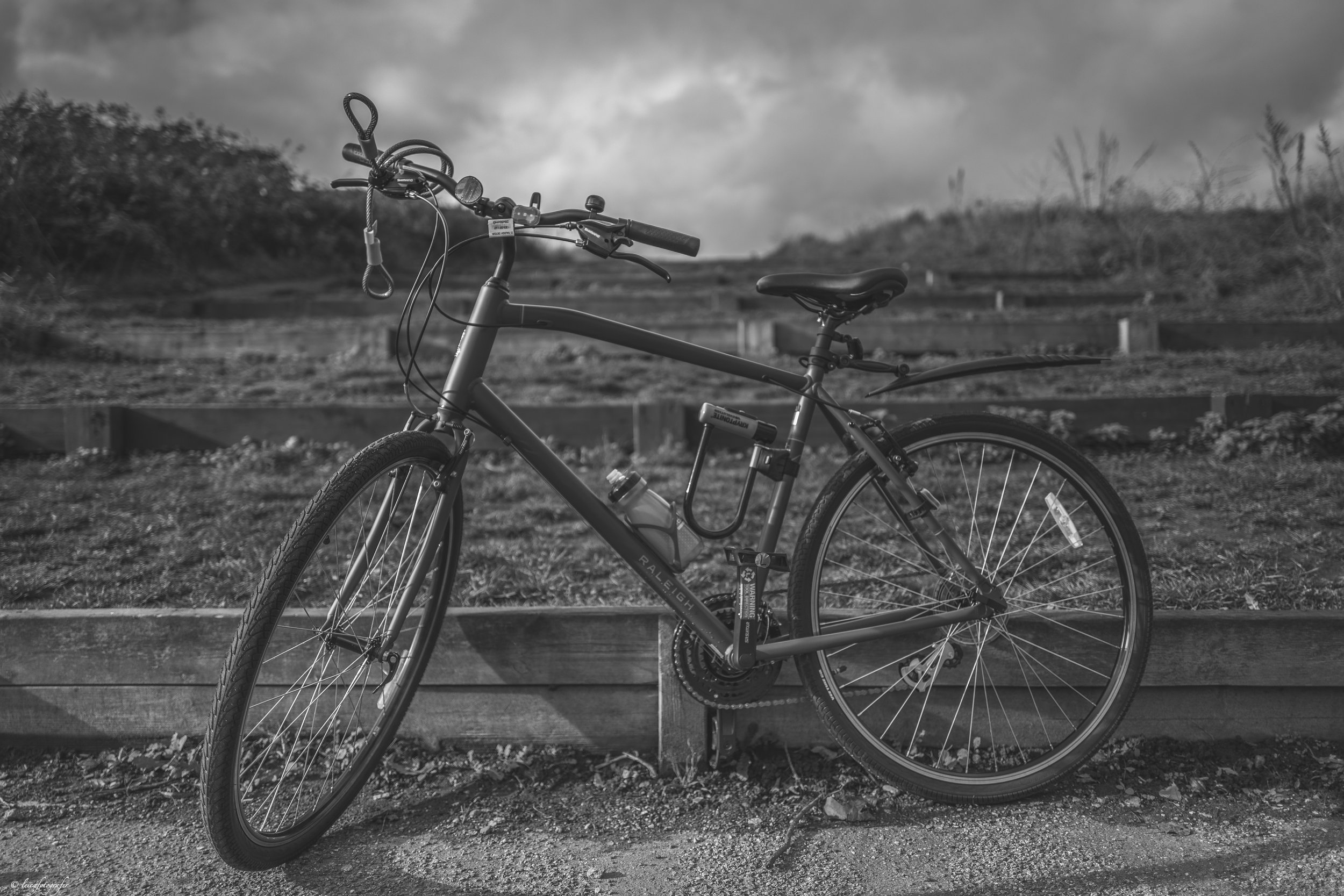 My Bicycle b&w.jpg