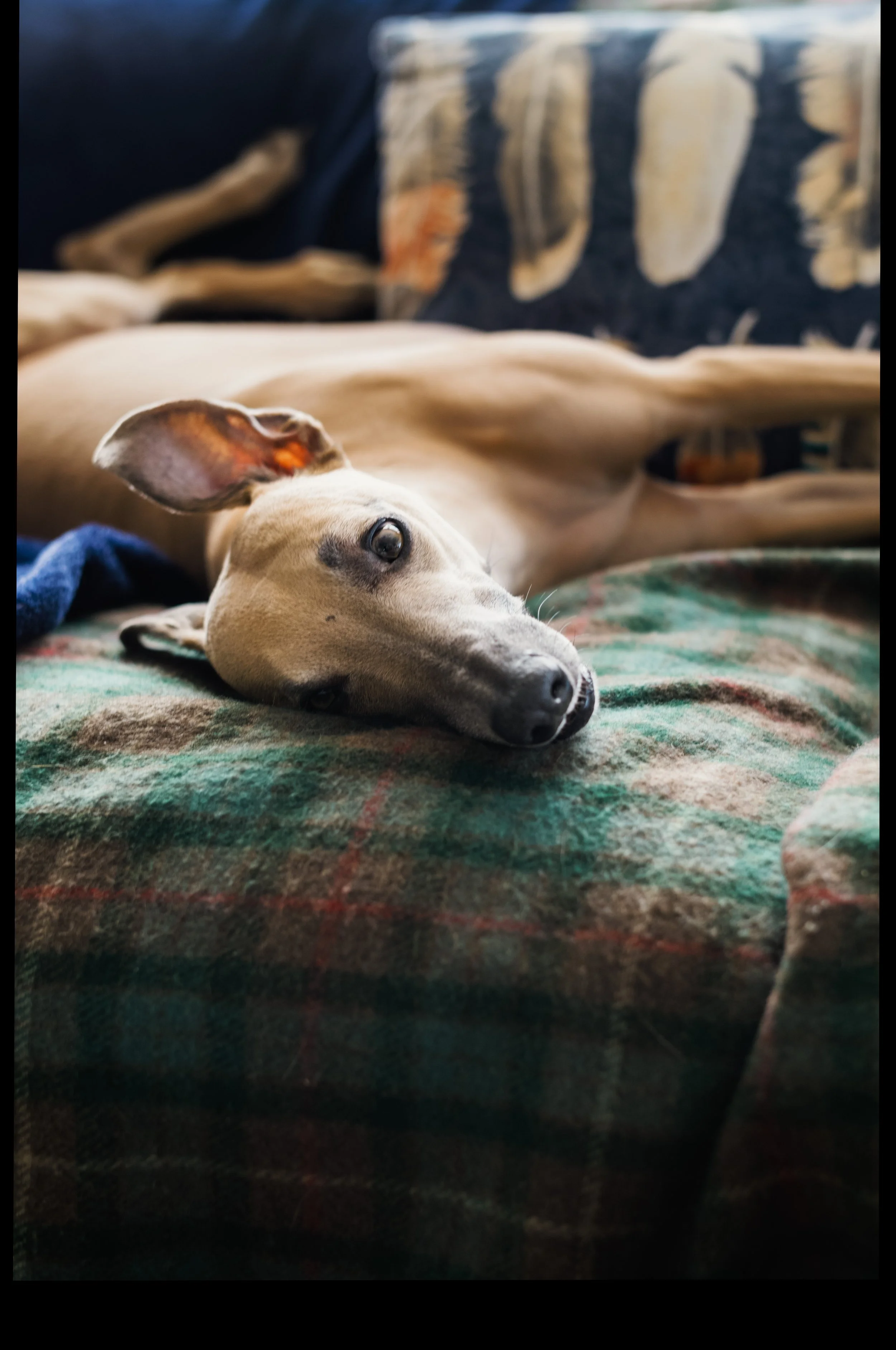 One Photo a Day 003…