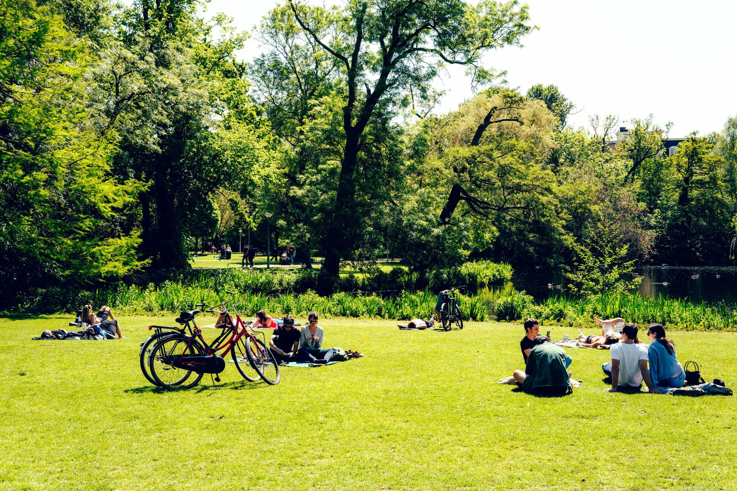 Amsterdam-44.jpg