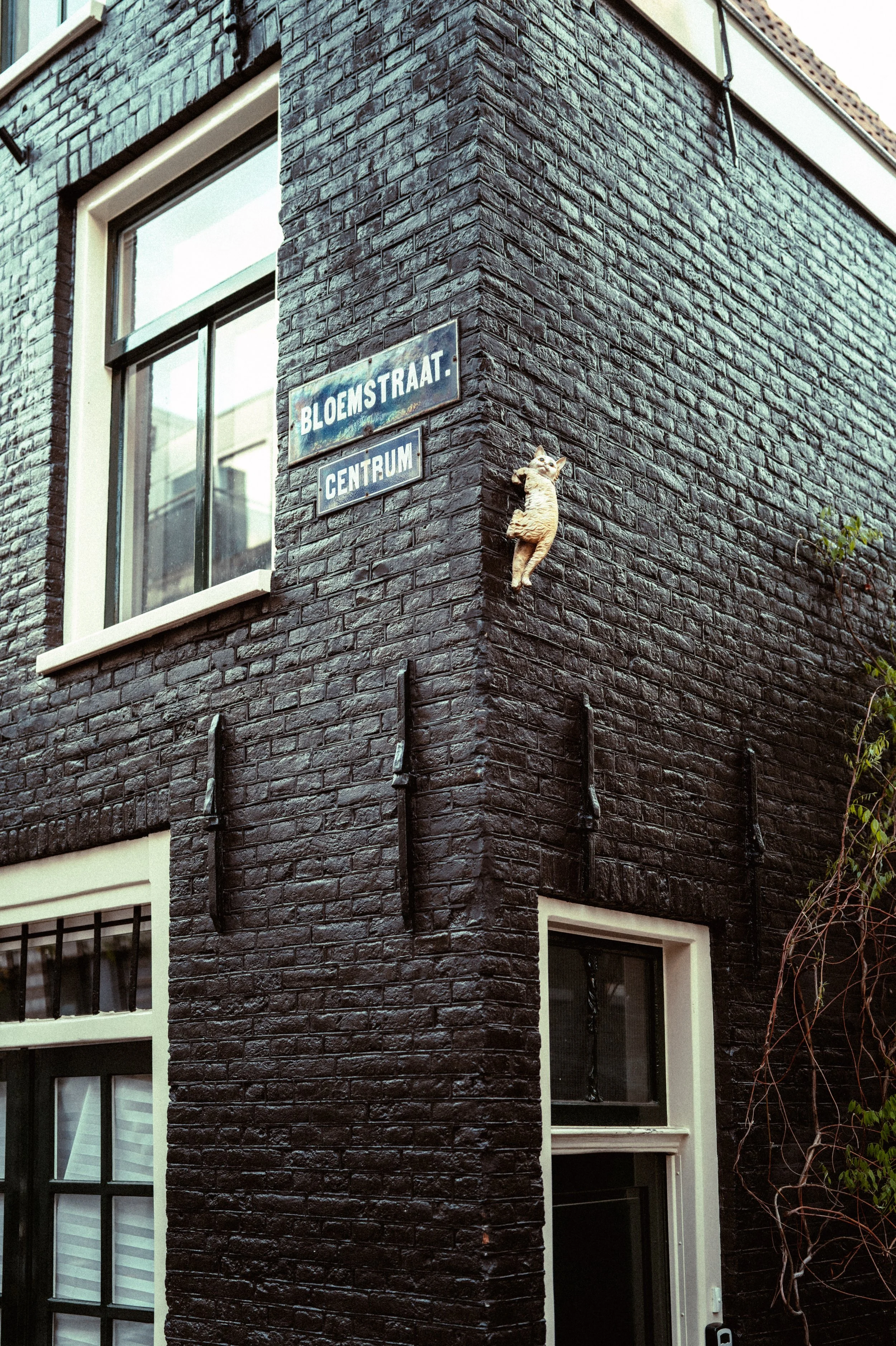 Amsterdam-106.jpg
