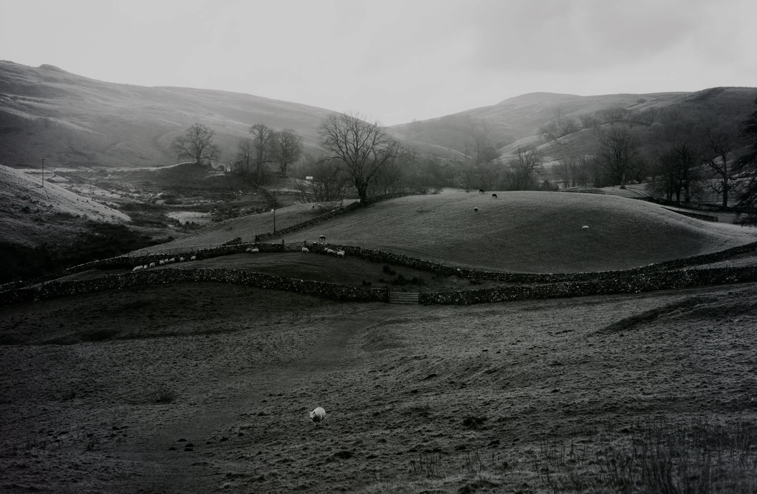Across the Vale.jpg