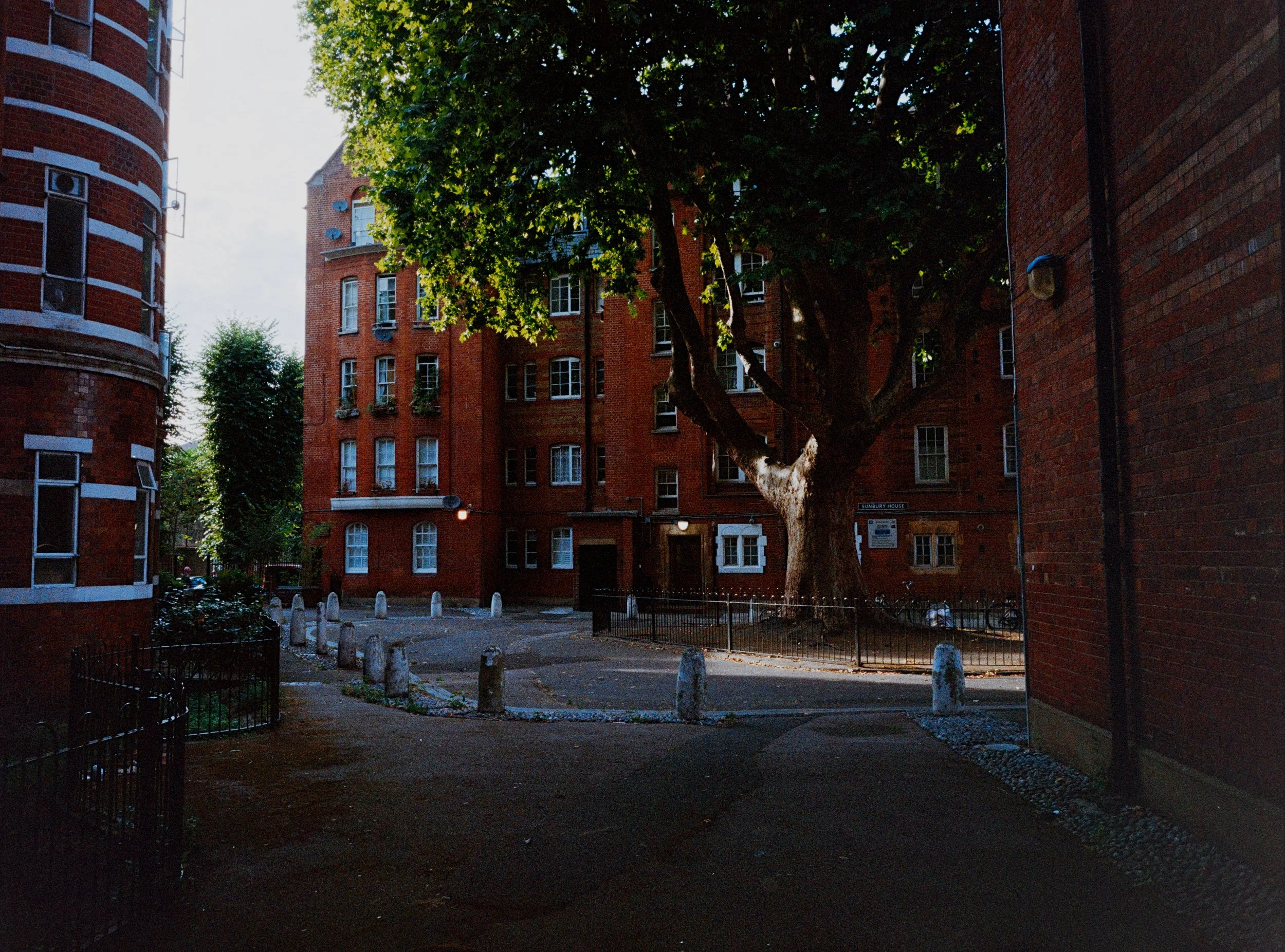 Analogue Wonderland Big Film PhotoWalk 2026-27.jpg
