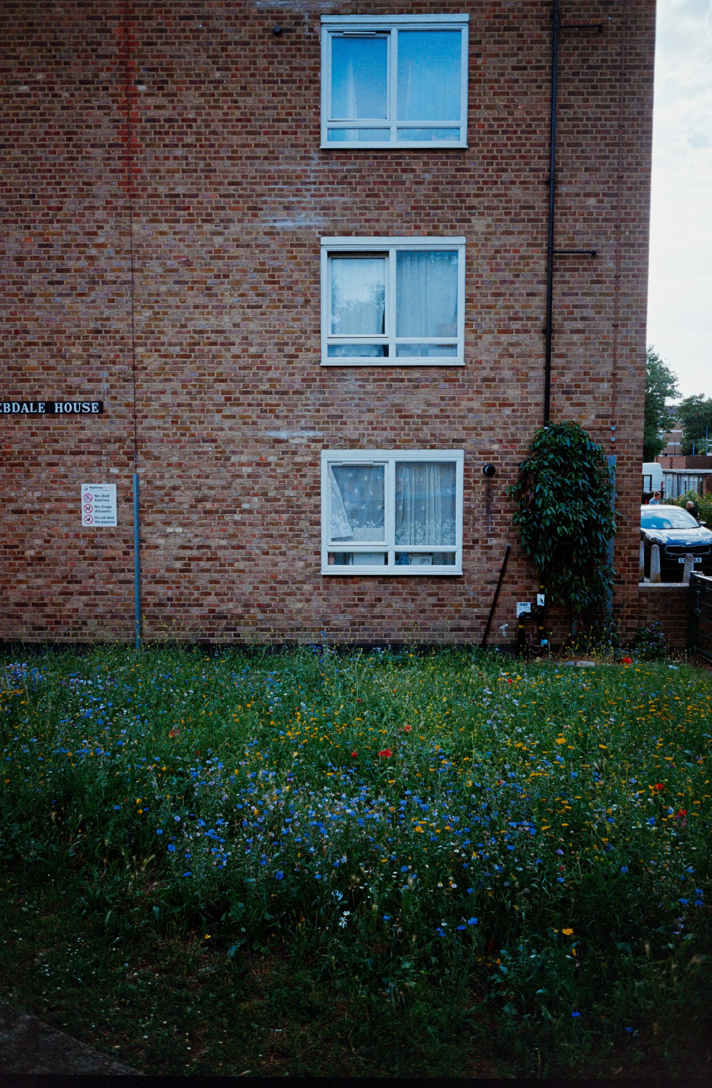 Analogue Wonderland Big Film PhotoWalk 2026-15.jpg