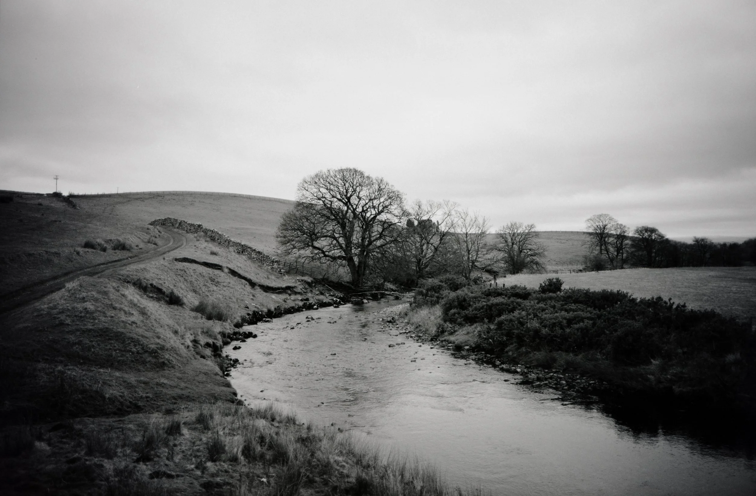 A River Runs through It.jpg