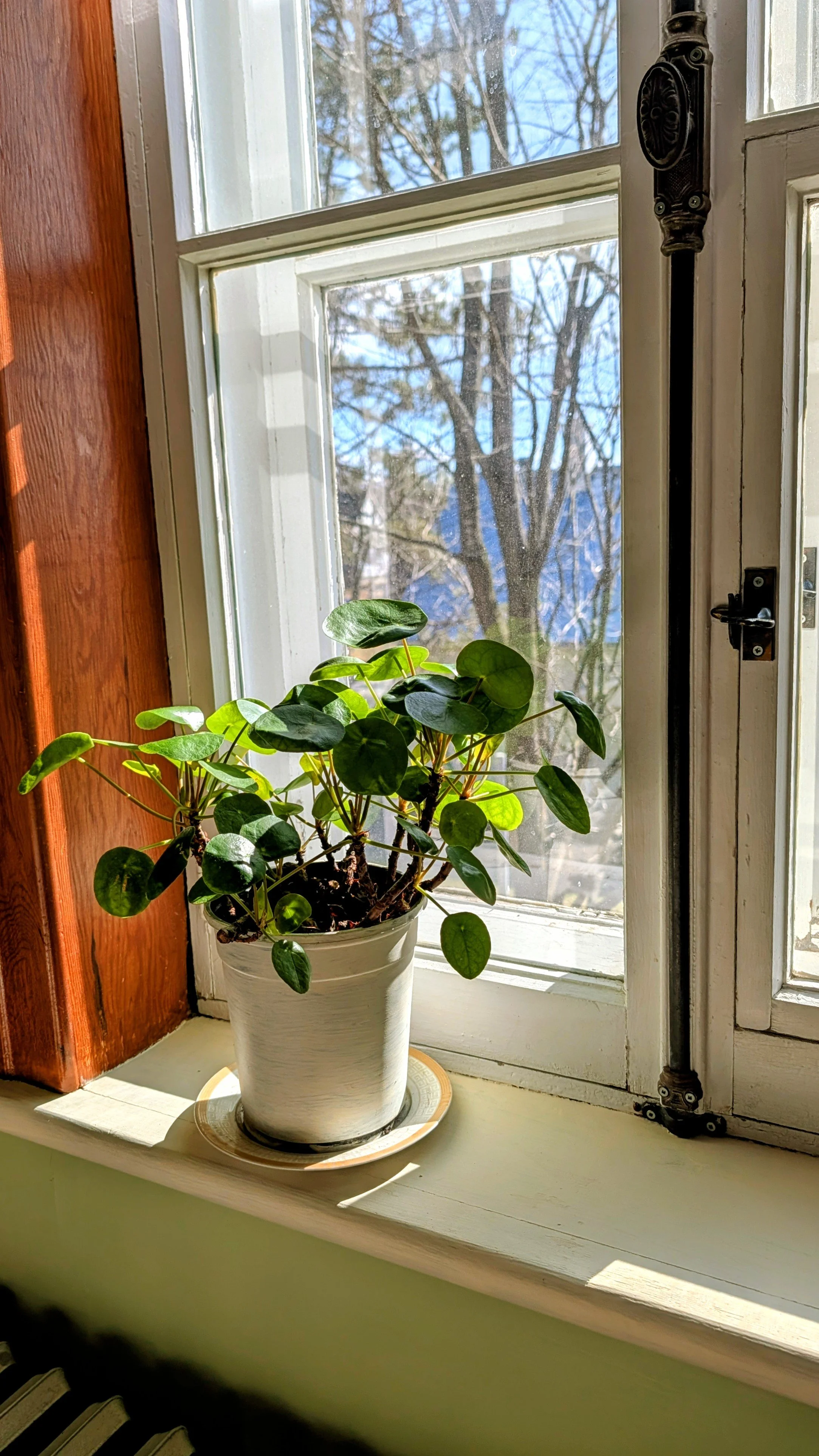 Fenêtre ouest de la Chambre Primavera présentant les ferronneries caractéristiques de cette époque.