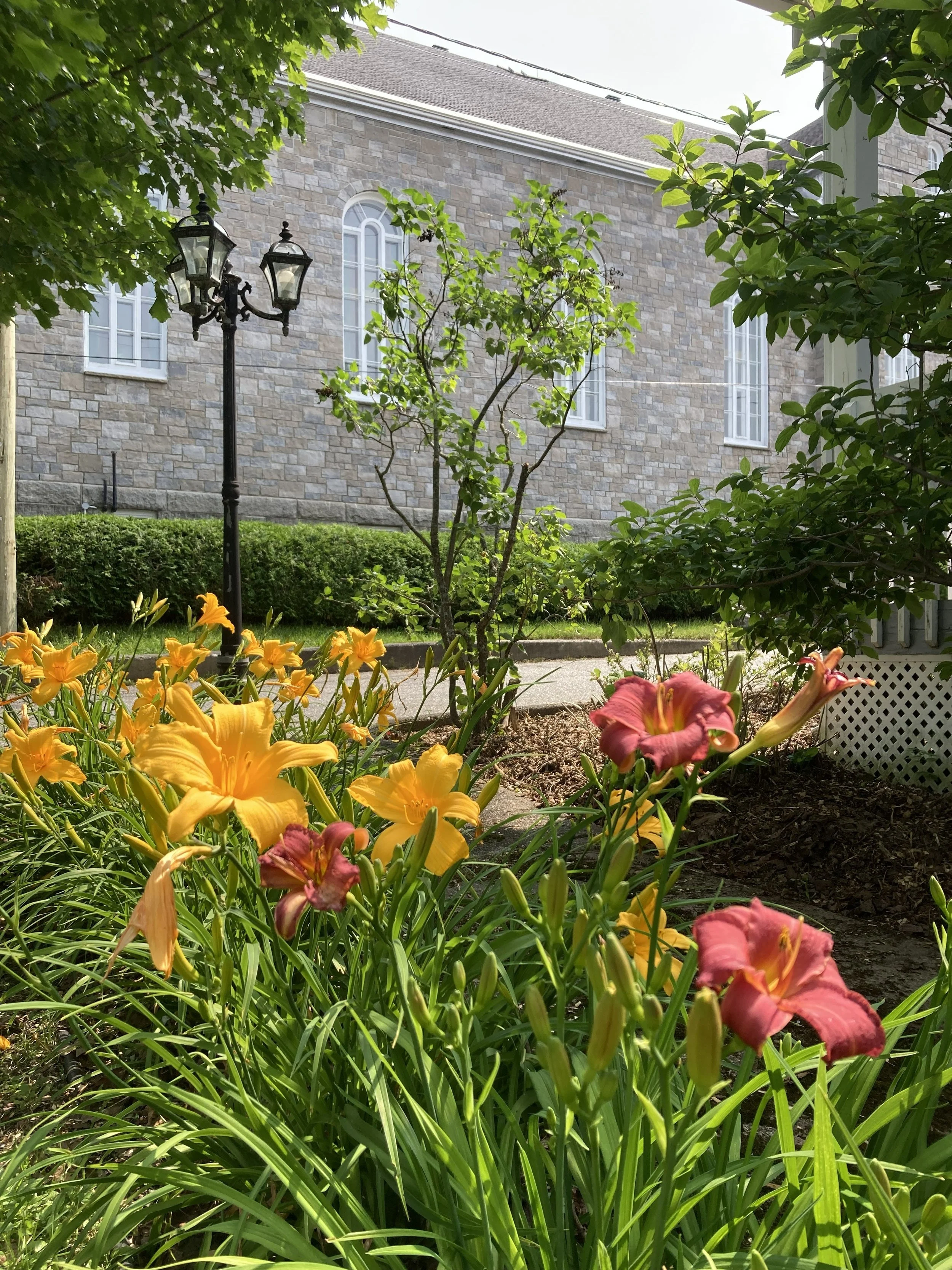 Vue du parterre avant de la Maison la Miellée, avec l'église de Saint-Damien-de-Buckland en arrière-plan