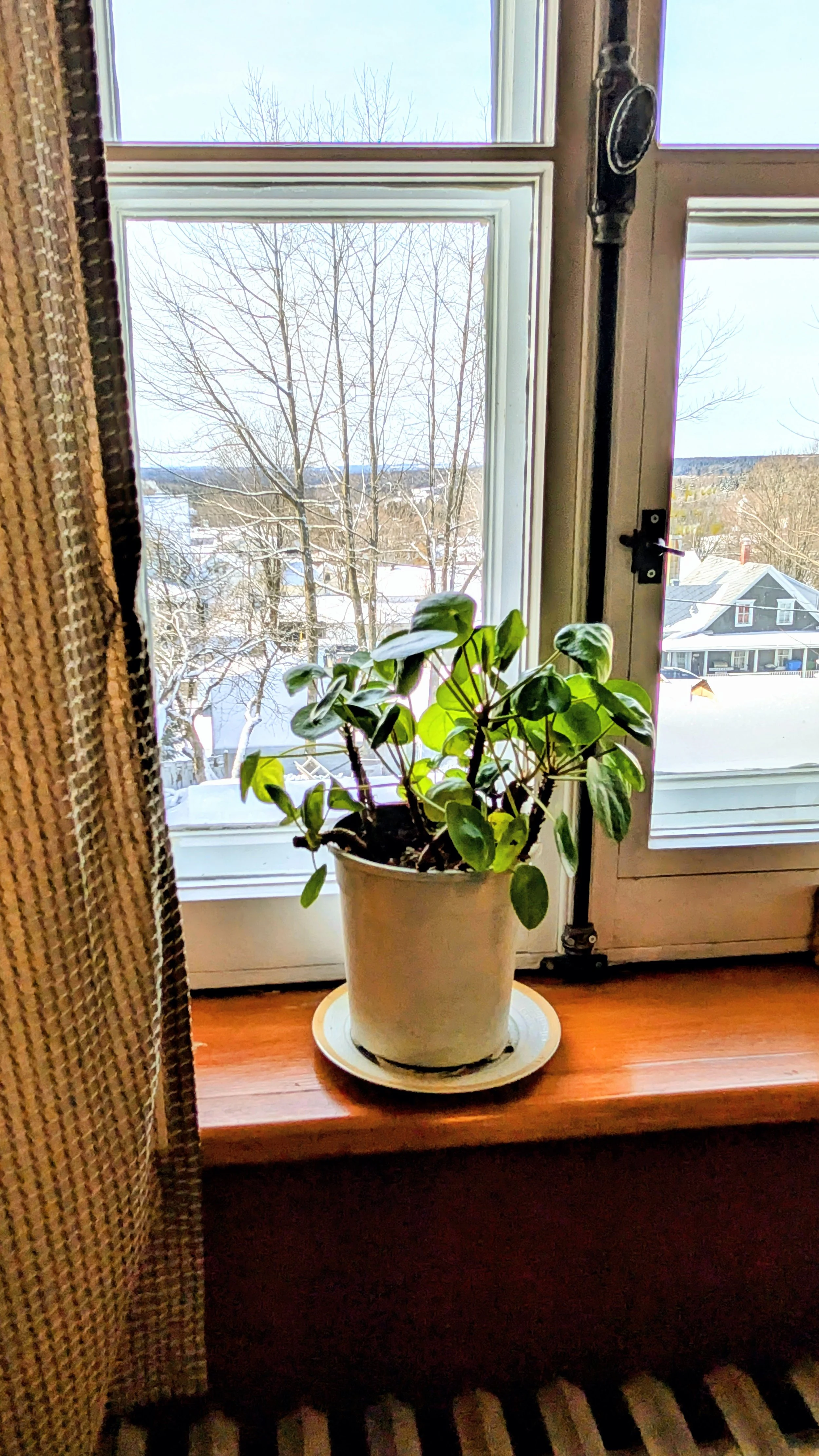 La fenêtre à crémone et ses rideaux à motif tartan ouvrent vers le paysage campagnard