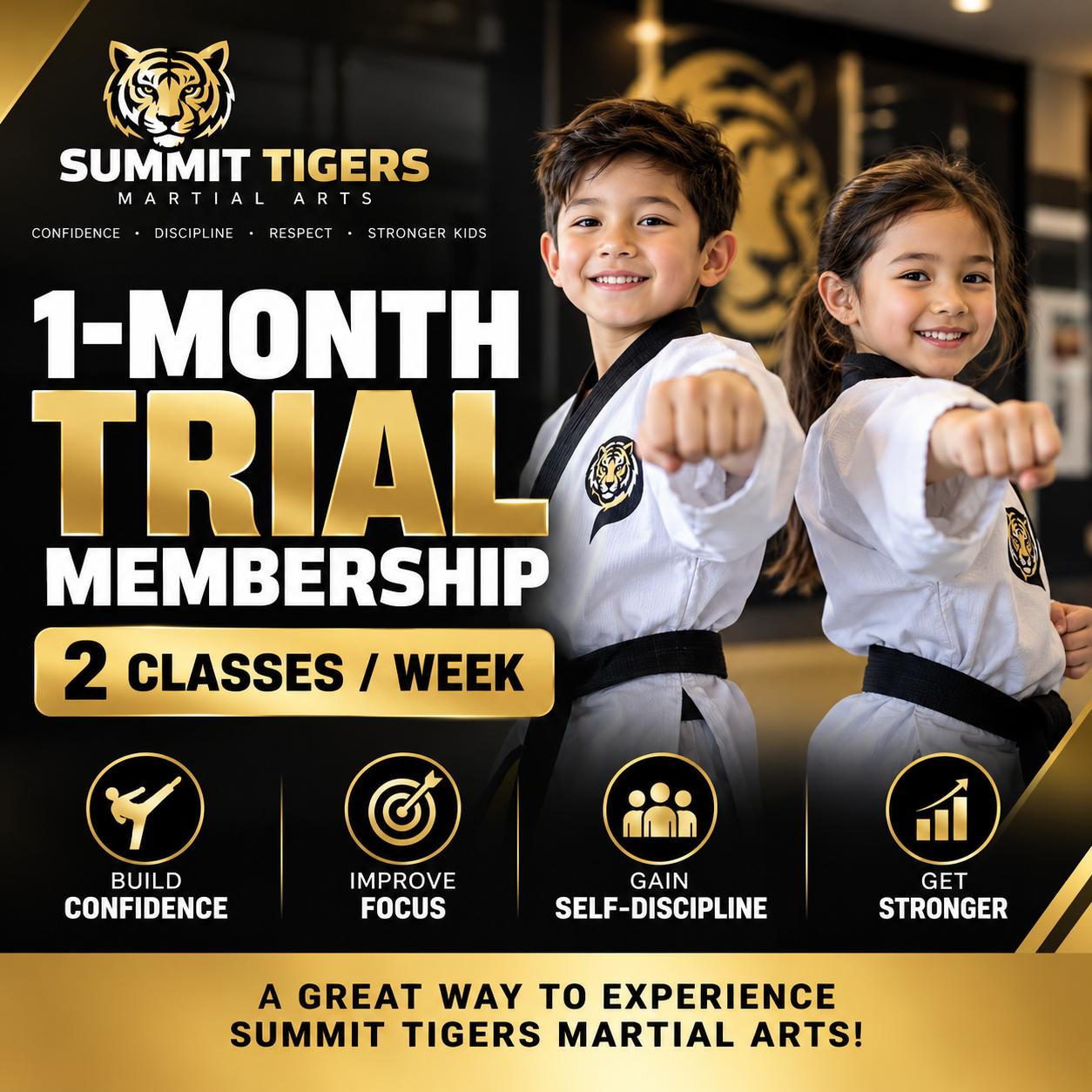 Summit Tigers Martial Arts Trial Poster.png