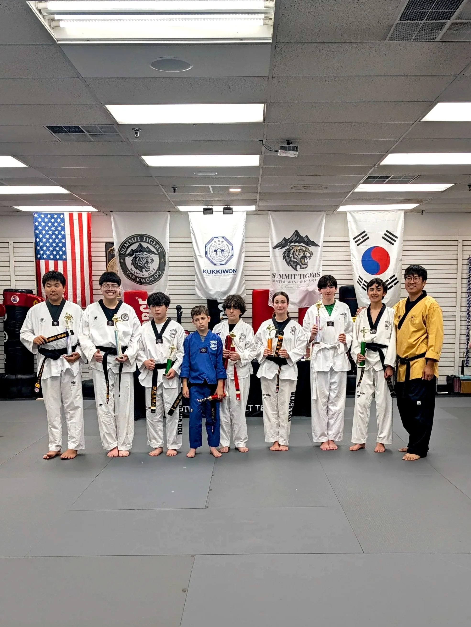 Teens and Adults Taekwondo program