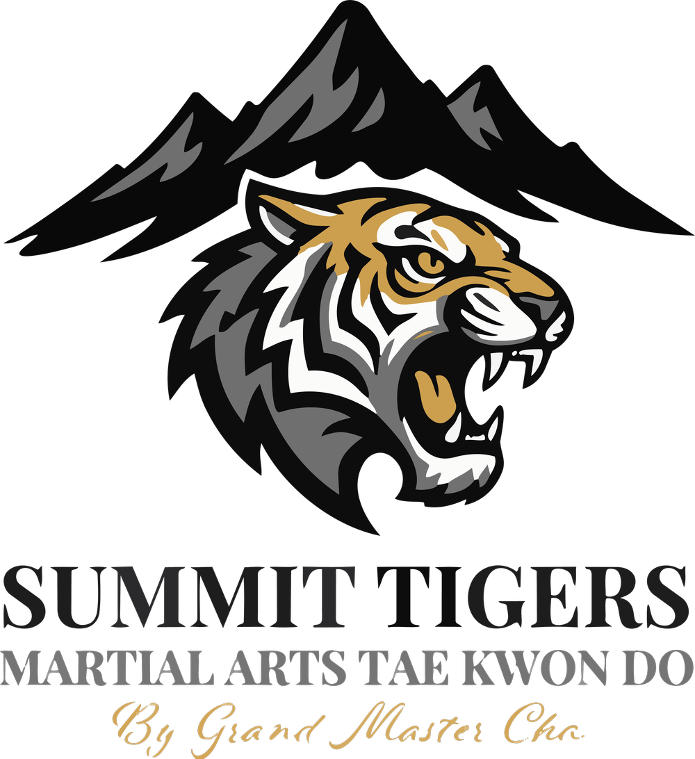 Summit Tigers Martial Arts Taekwondo by Grand Master Cha