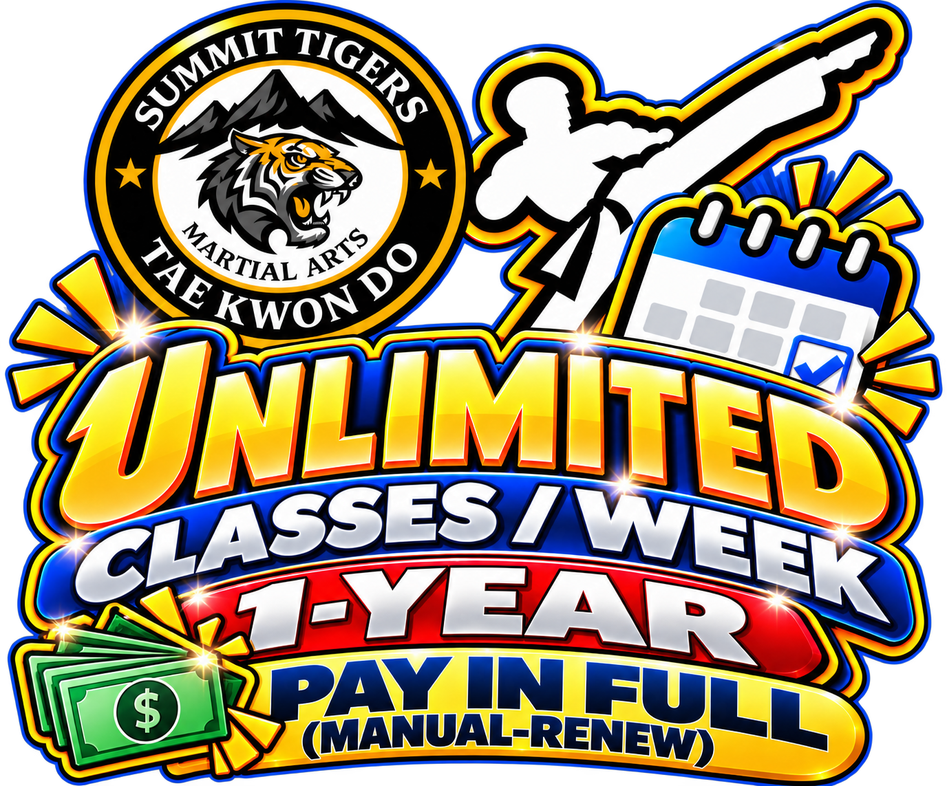 1-Year Taekwondo Membership — Unlimited Classes | Paid in Full | Manual Renewal