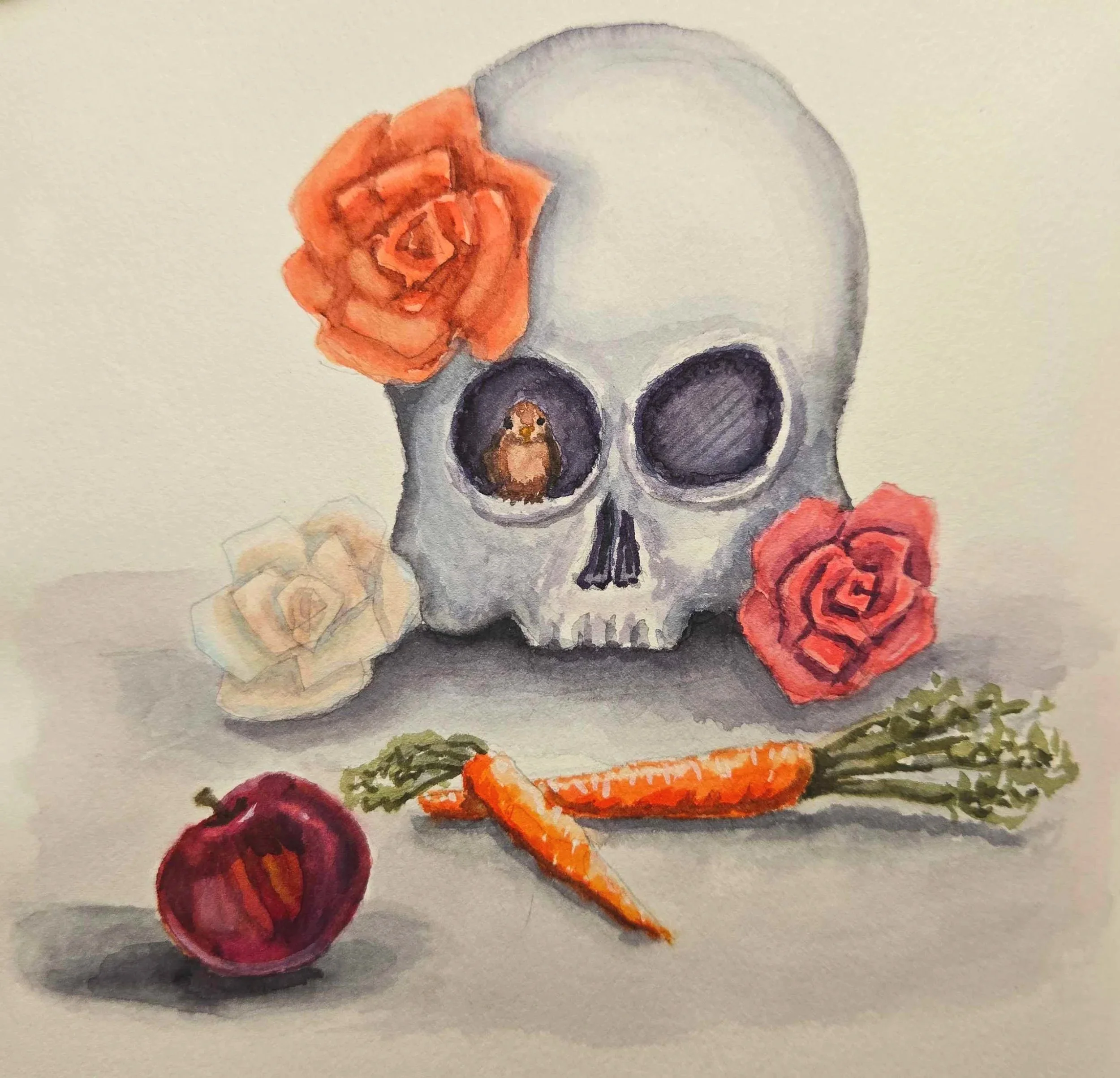 Vanitas Series: Skull with Carrots still life - watercolor