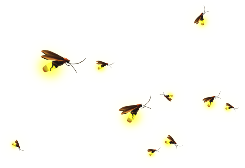 Hambden Handmade Market