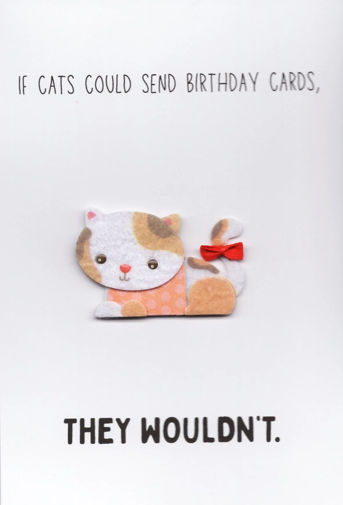 Cats Sending Cards.jpg